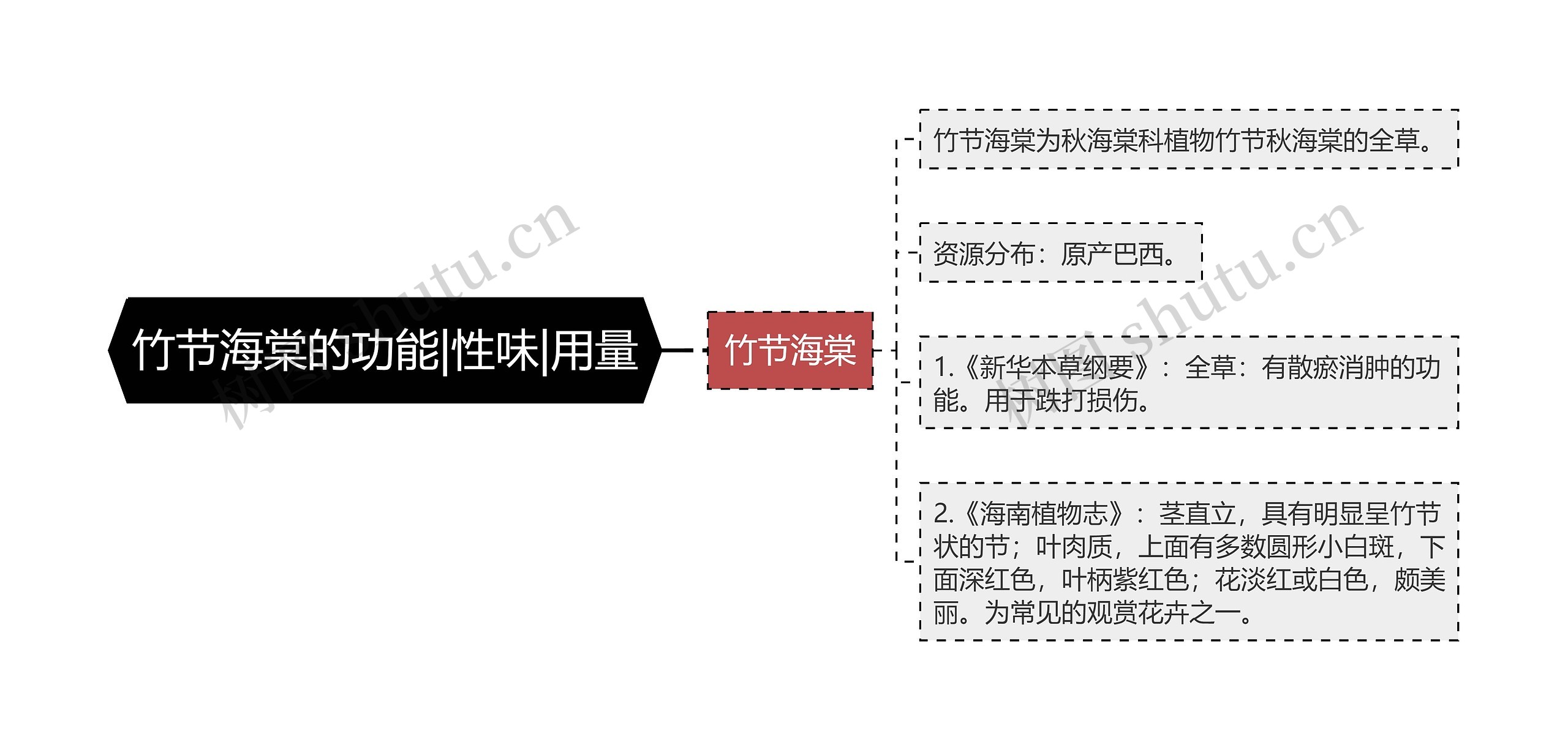 竹节海棠的功能|性味|用量思维导图