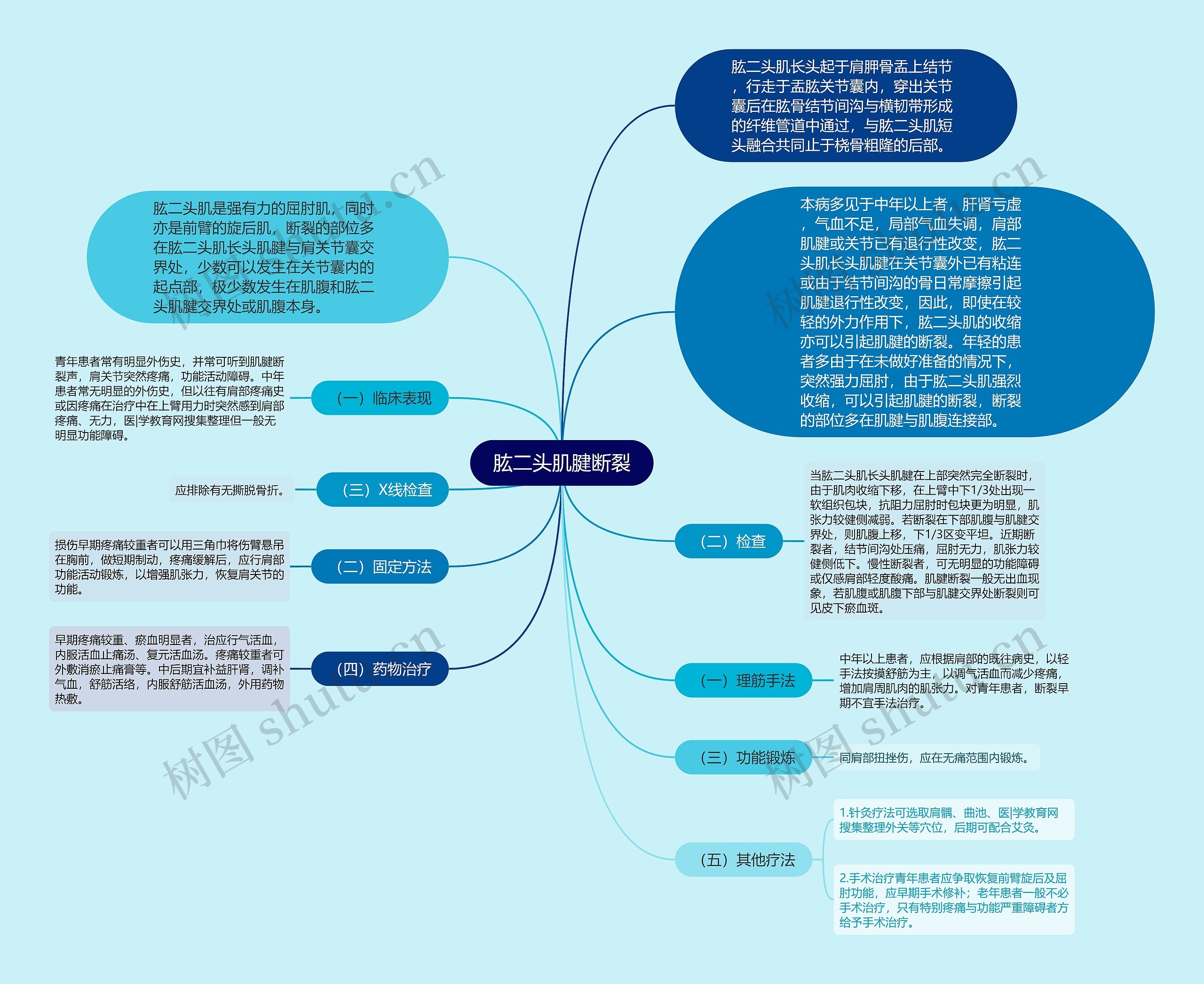 肱二头肌腱断裂思维导图