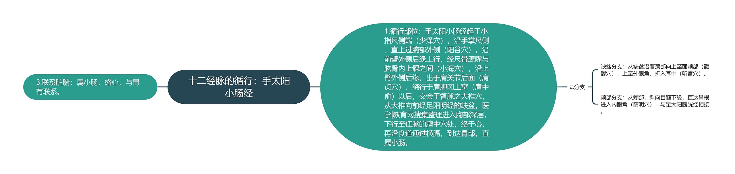 十二经脉的循行：手太阳小肠经思维导图