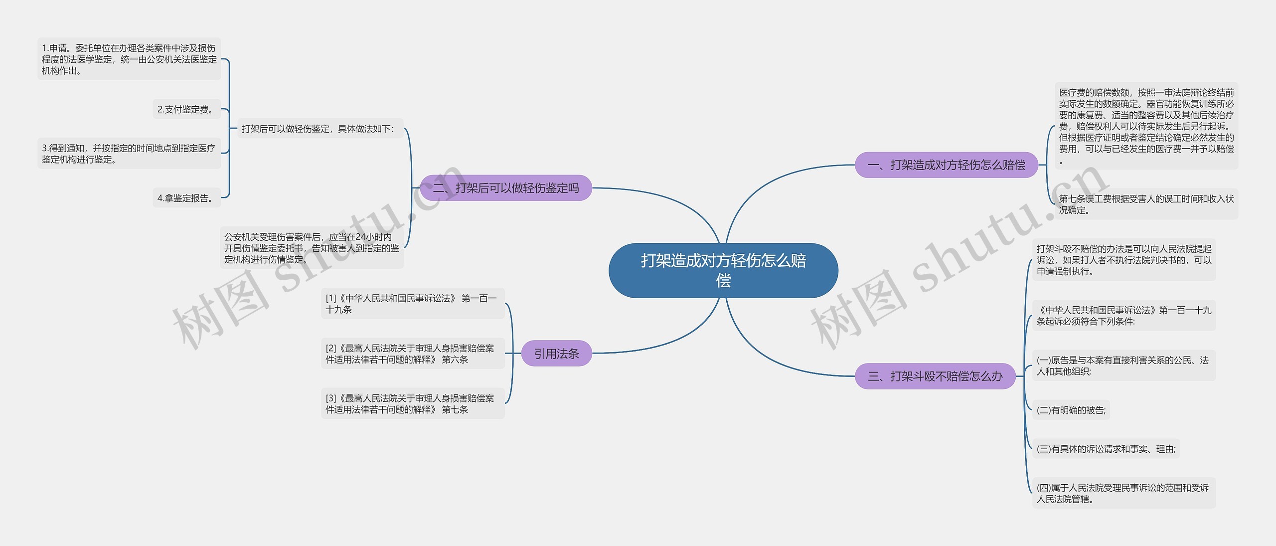 打架造成对方轻伤怎么赔偿思维导图