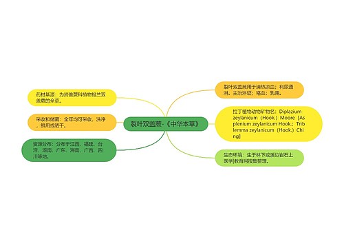 裂叶双盖蕨-《中华本草》