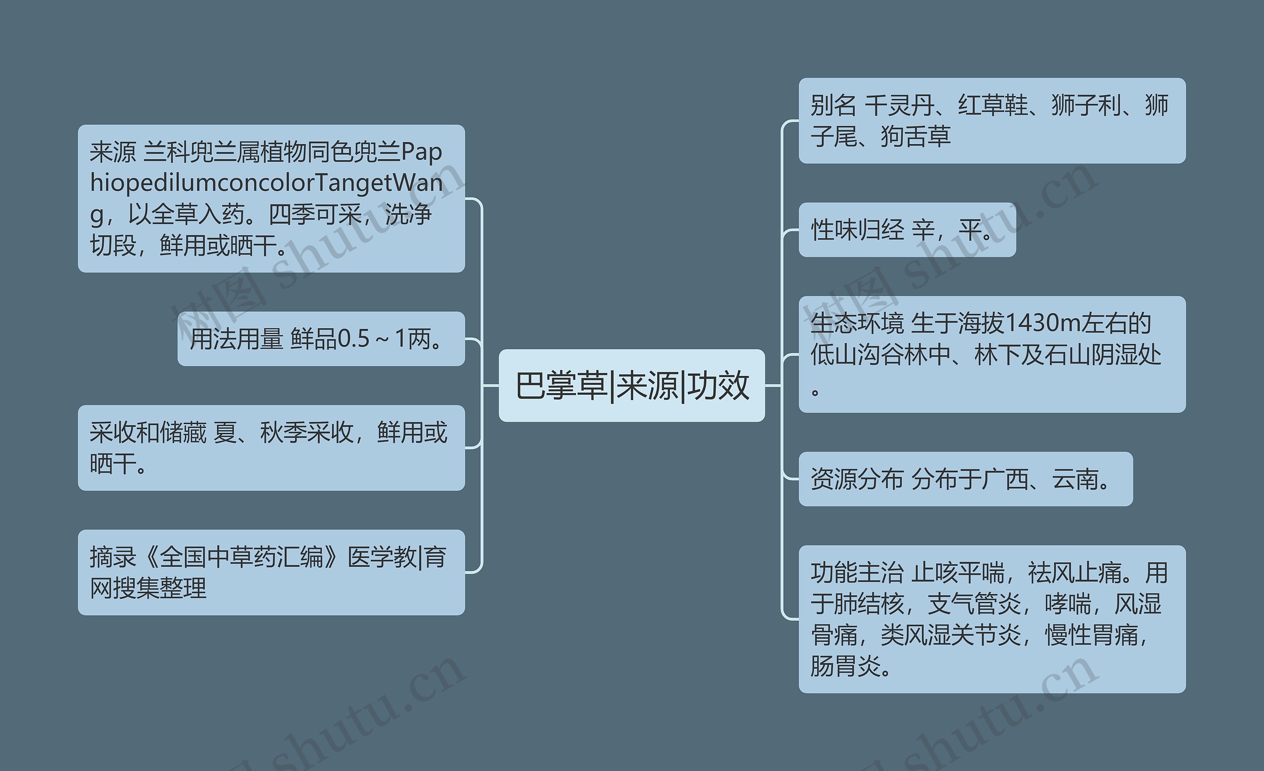 巴掌草|来源|功效思维导图