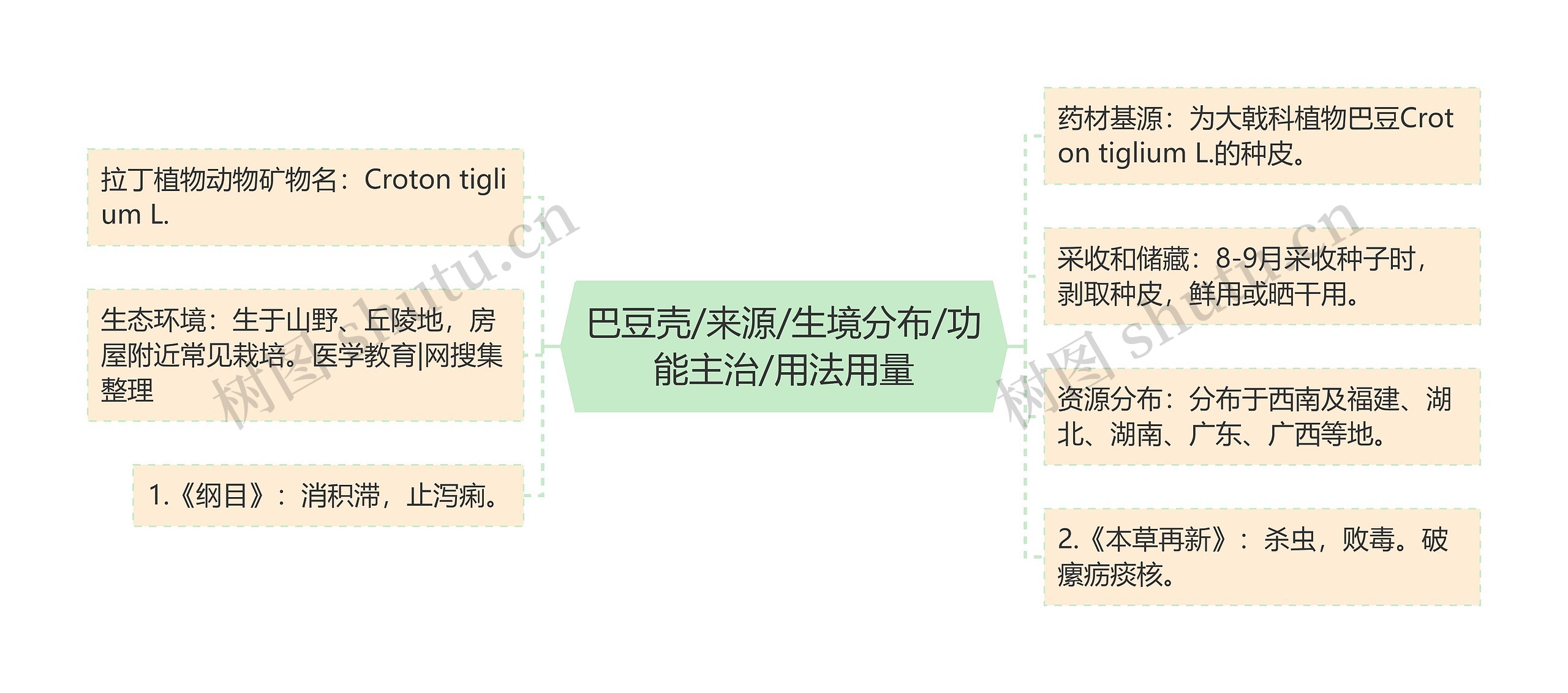 巴豆壳/来源/生境分布/功能主治/用法用量