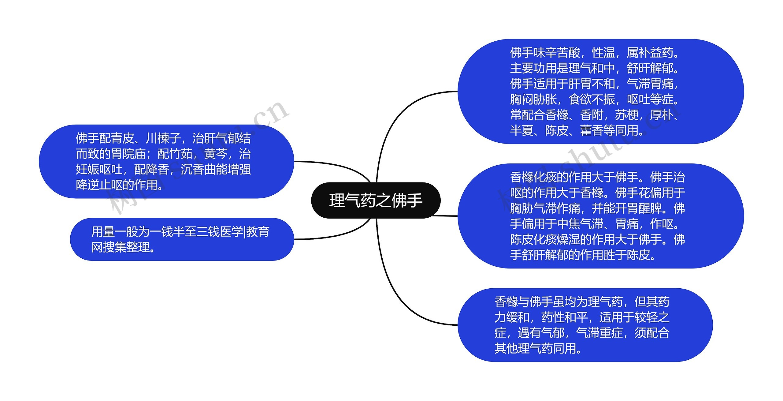 理气药之佛手思维导图