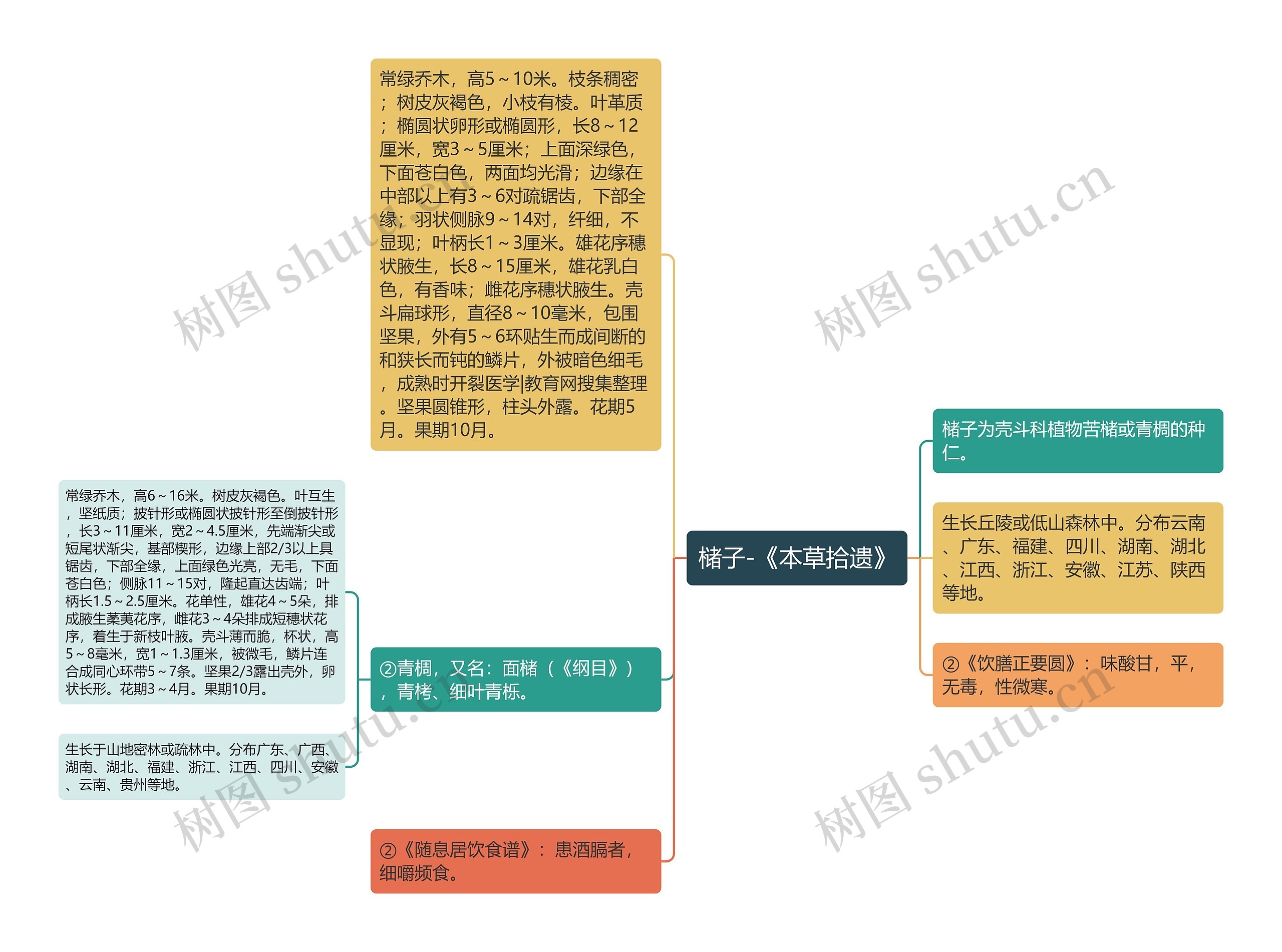 槠子-《本草拾遗》思维导图