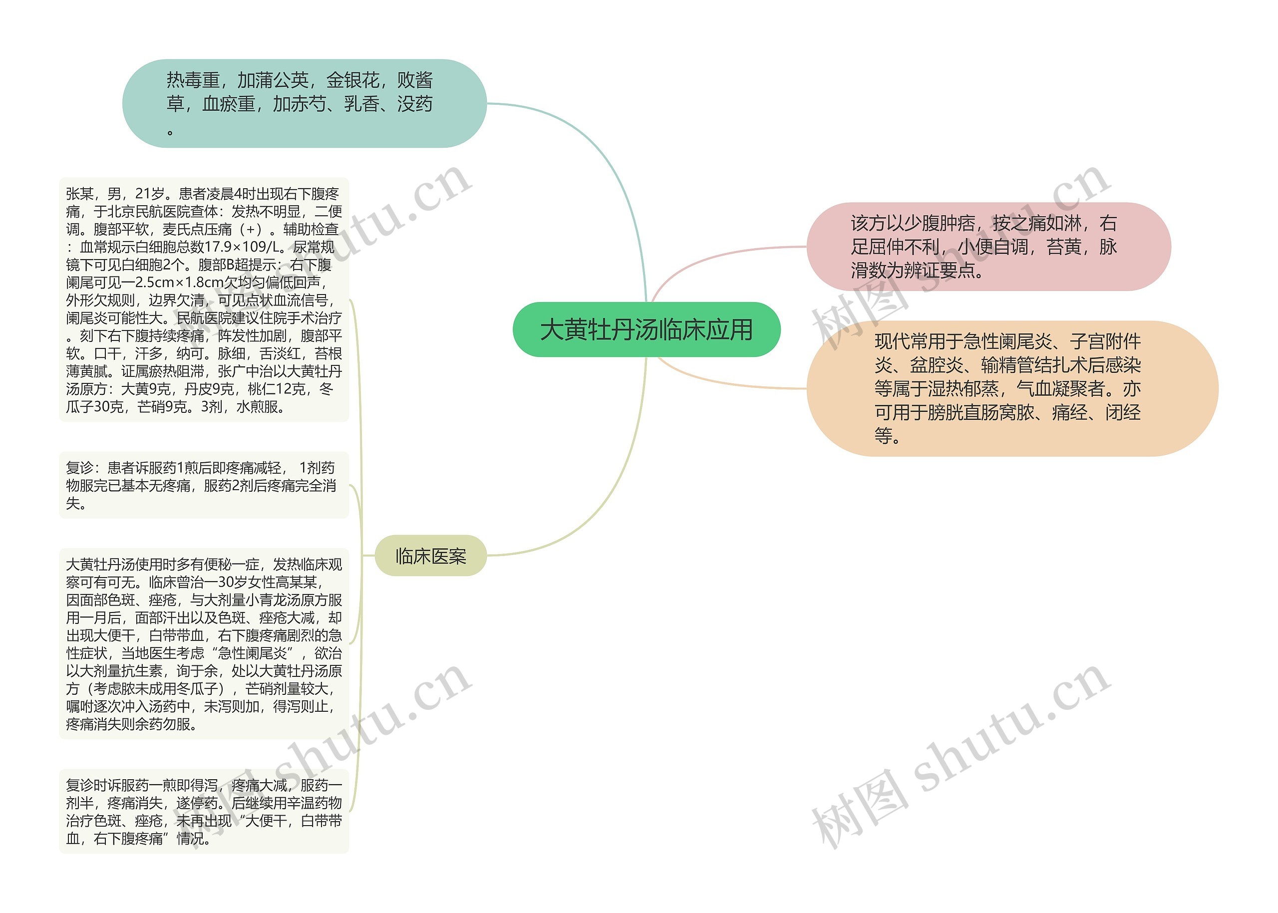 大黄牡丹汤临床应用思维导图