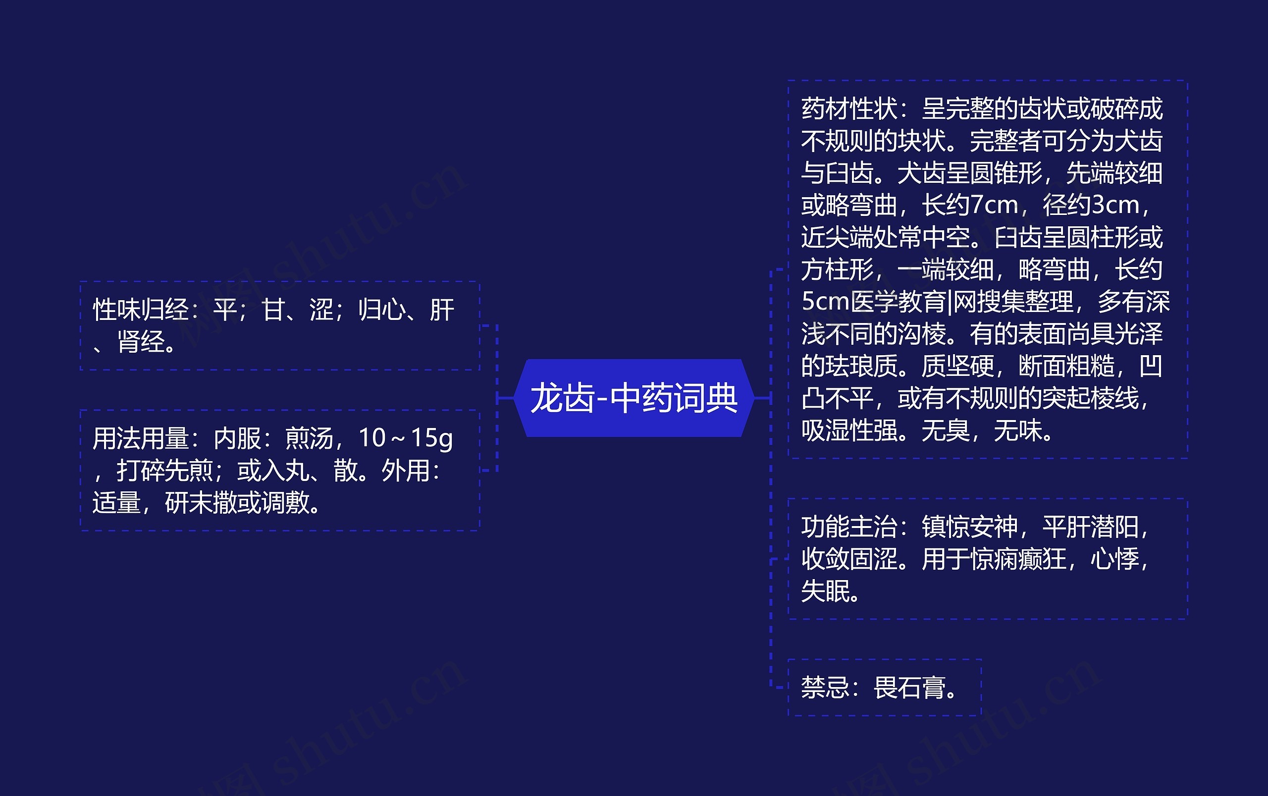 龙齿-中药词典思维导图