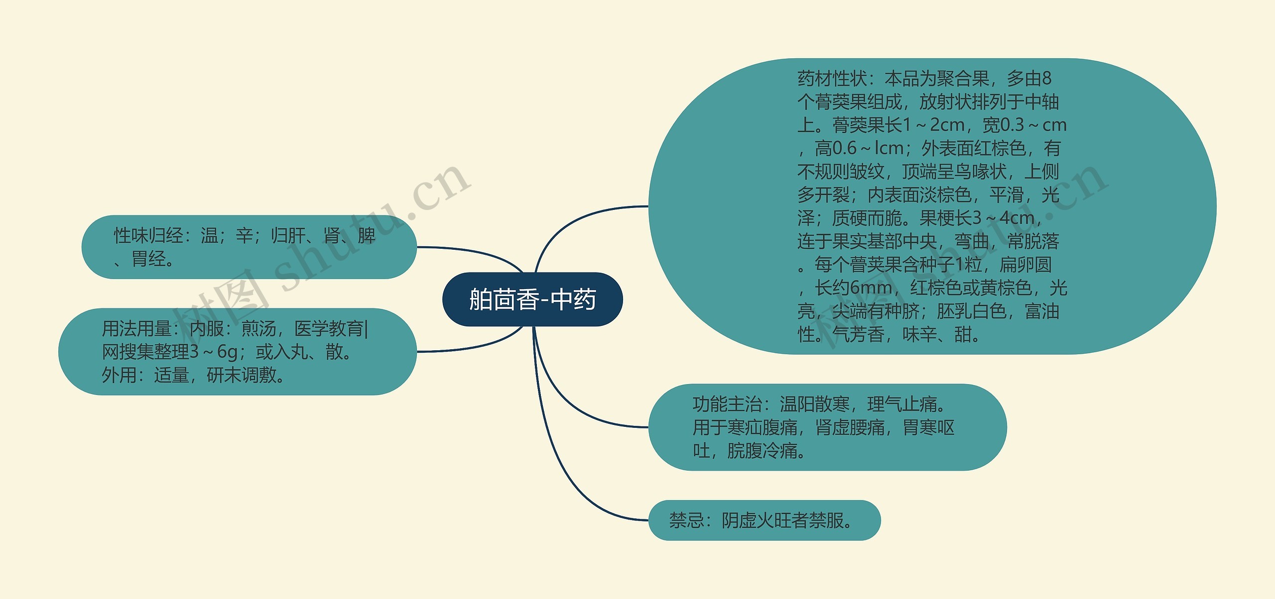 舶茴香-中药思维导图