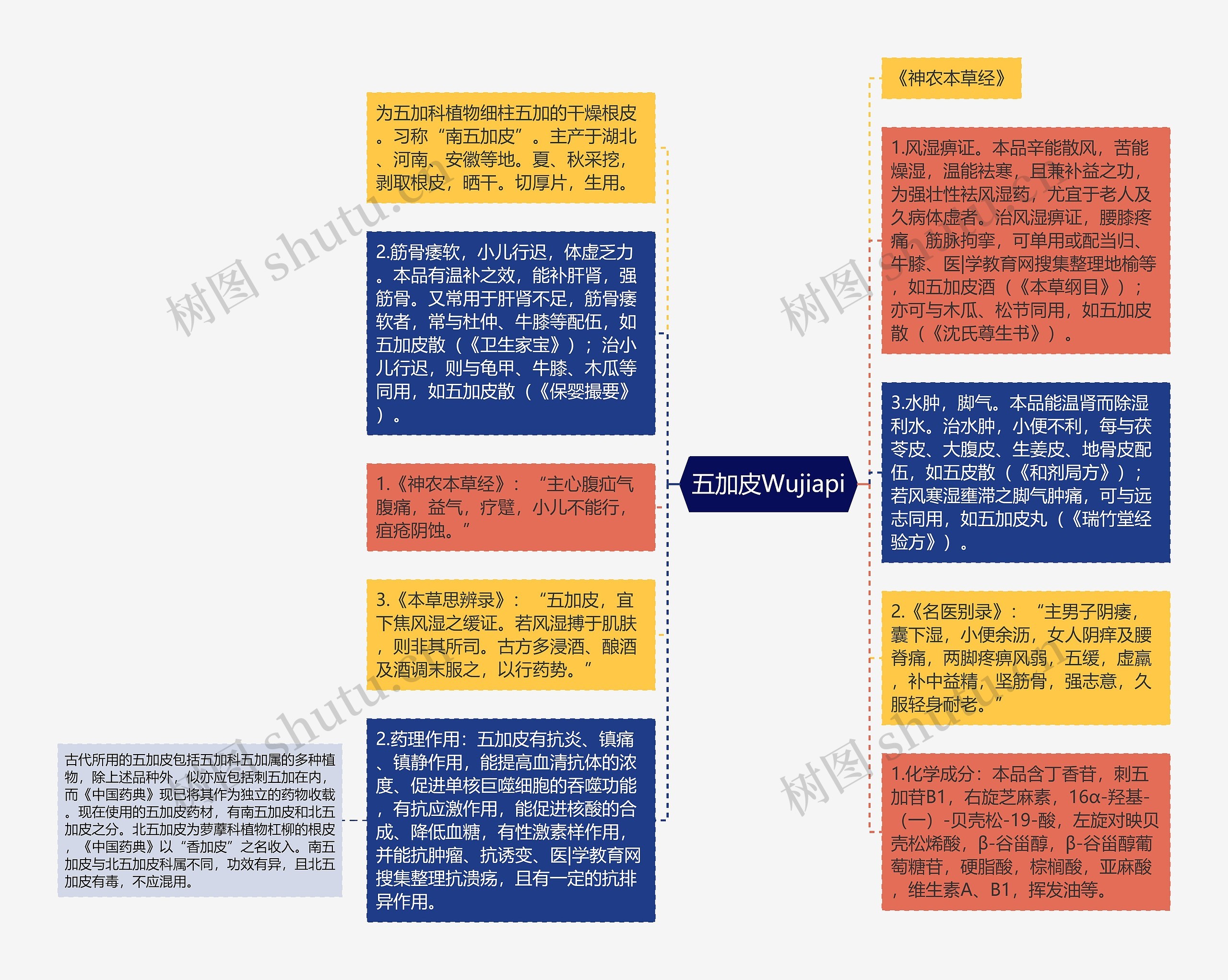 五加皮Wujiapi思维导图