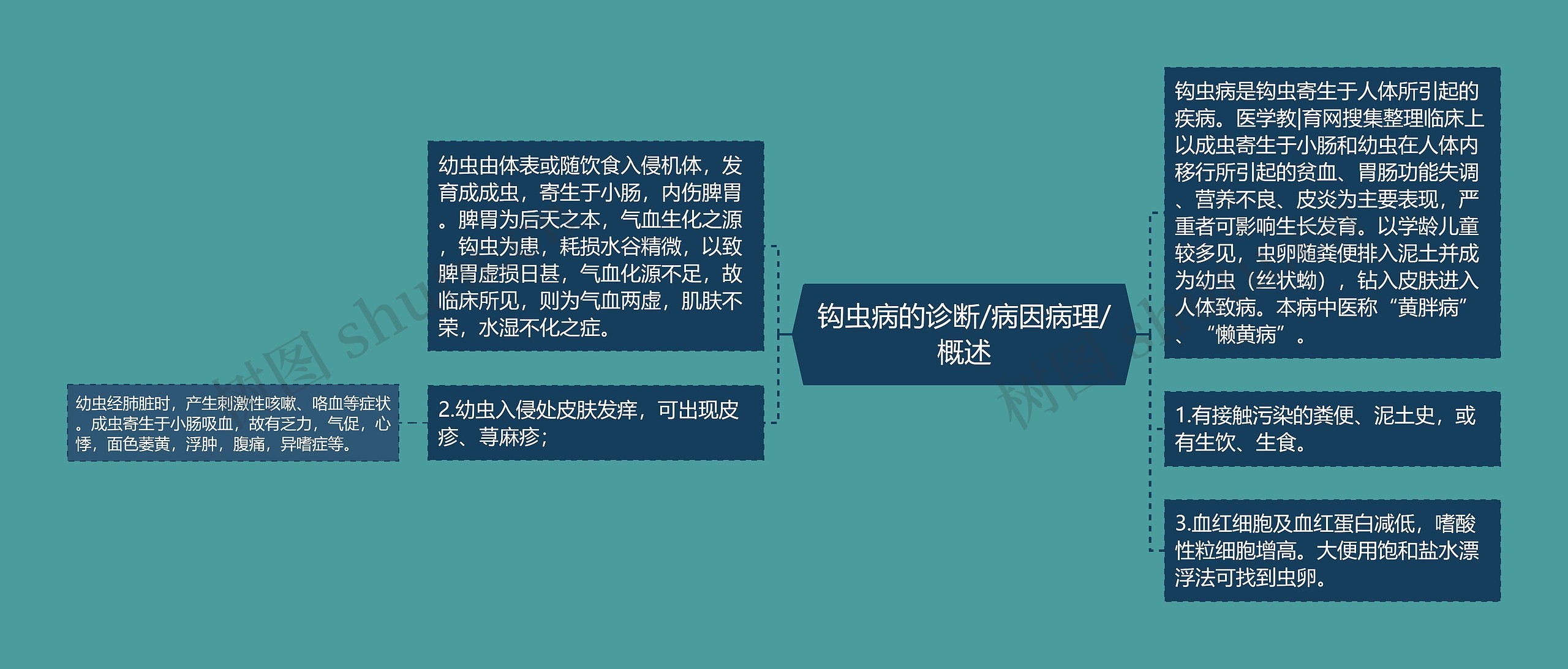 钩虫病的诊断/病因病理/概述 钩虫病的诊断/病因病理/概述