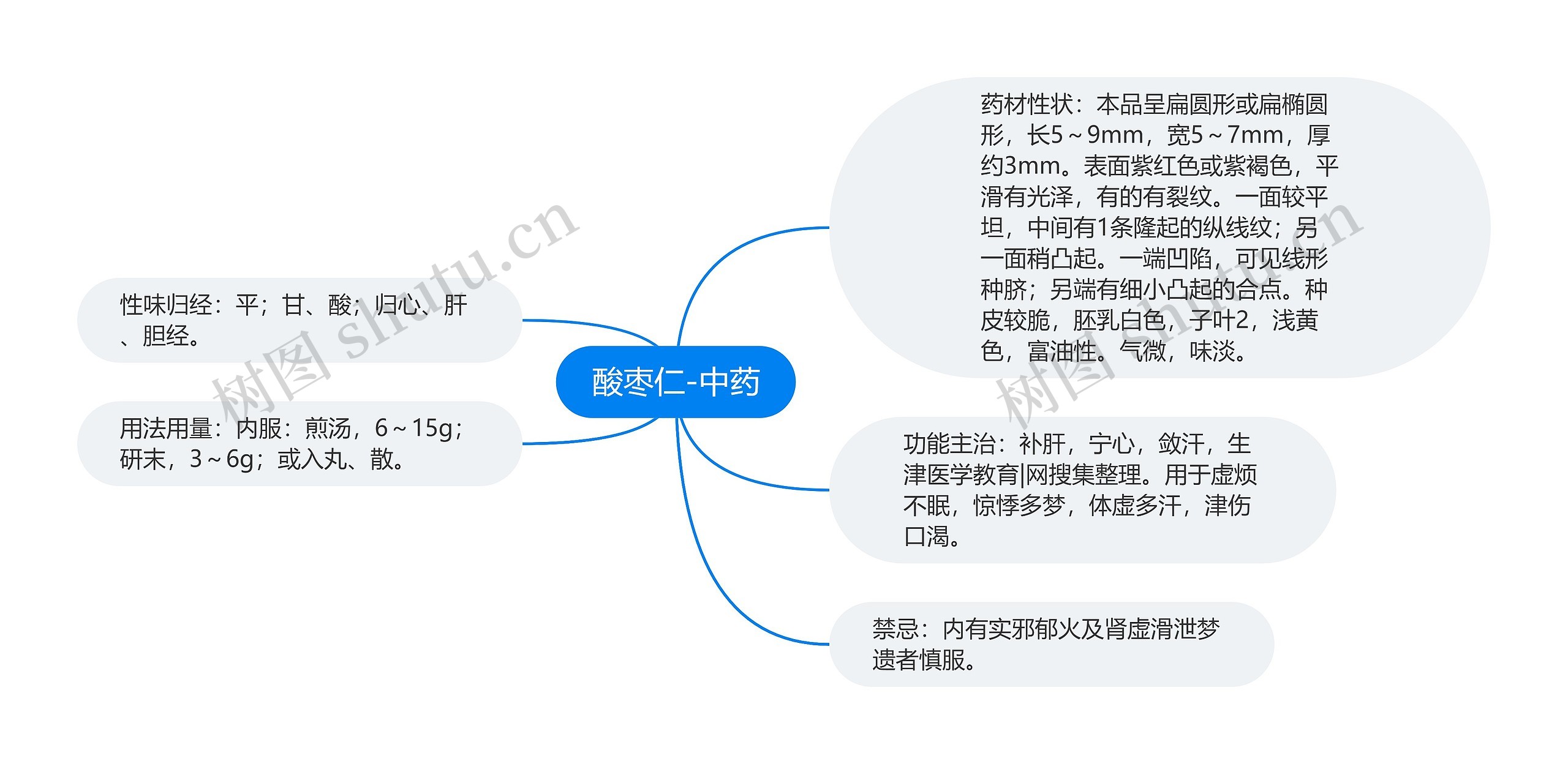 酸枣仁-中药 酸枣仁-中药