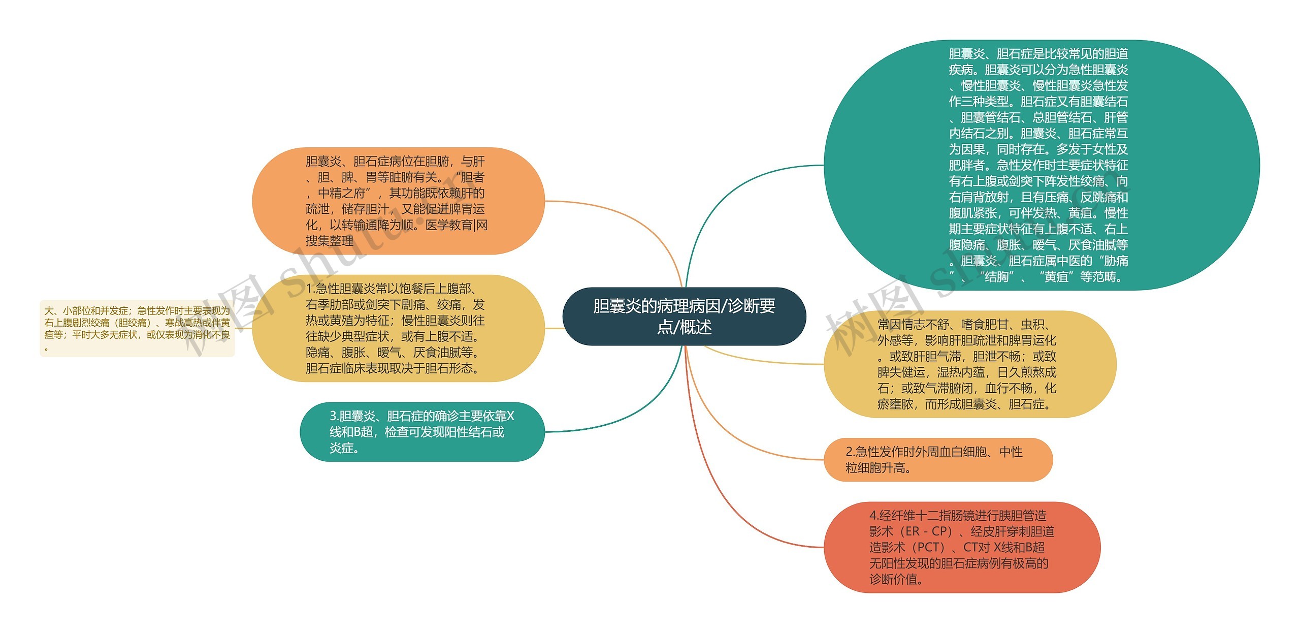 胆囊炎的病理病因/诊断要点/概述