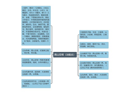 爬山豆根（治肠炎）