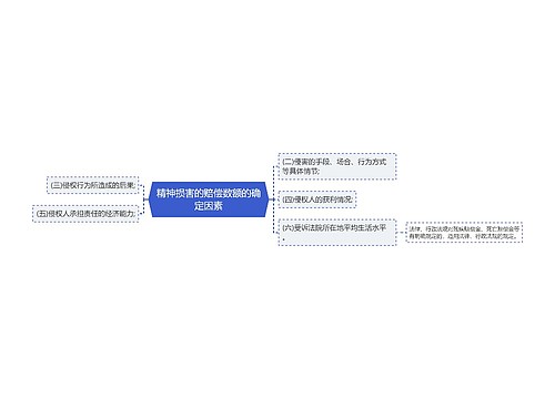精神损害的赔偿数额的确定因素