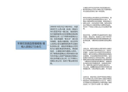 车祸引发脑血管瘤破裂 植物人获赔27万余元