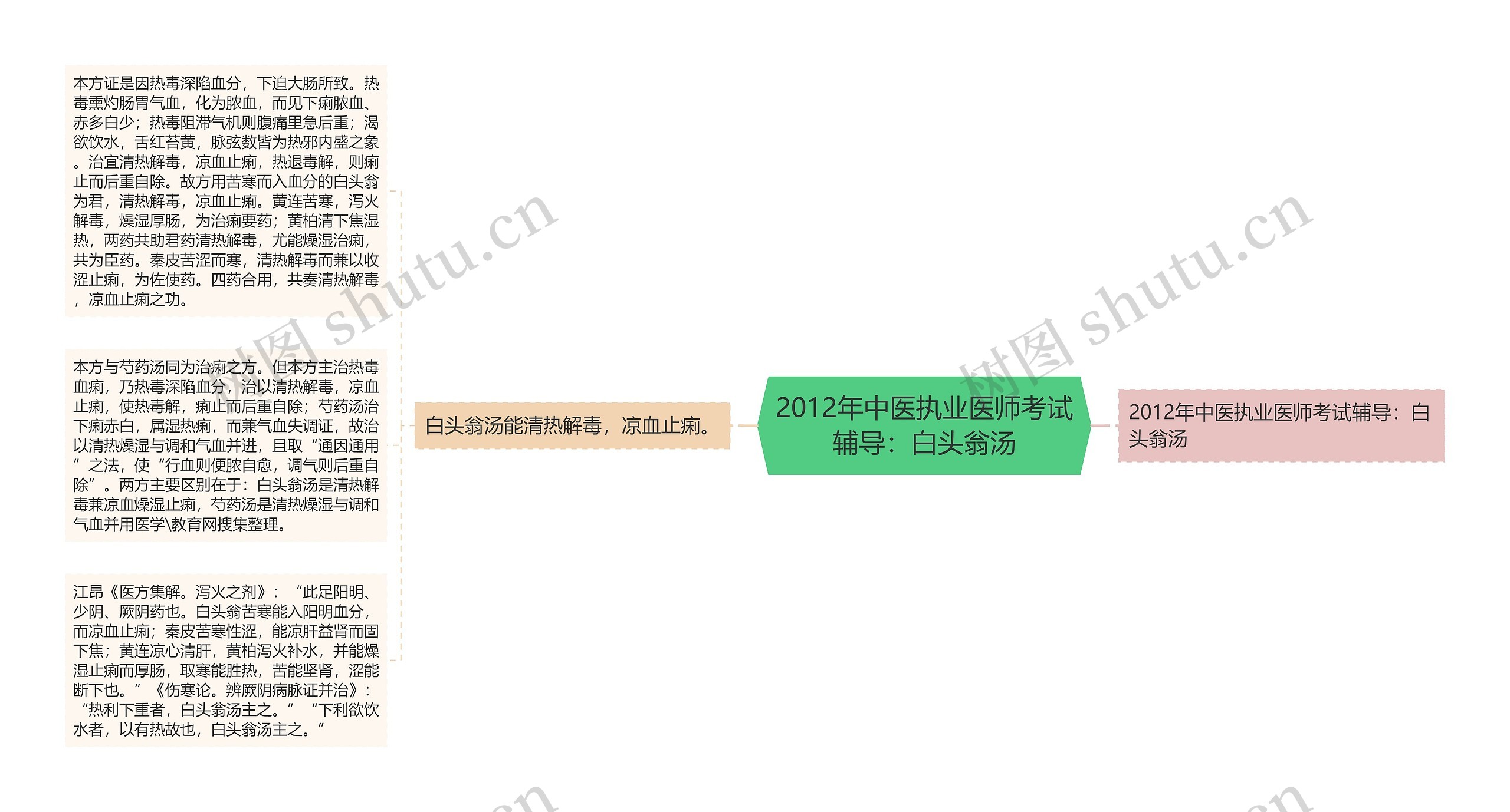 2012年中医执业医师考试辅导：白头翁汤