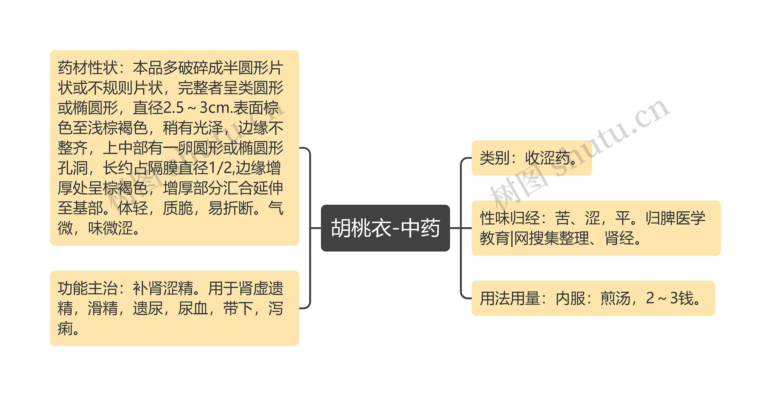 胡桃衣-中药 胡桃衣-中药