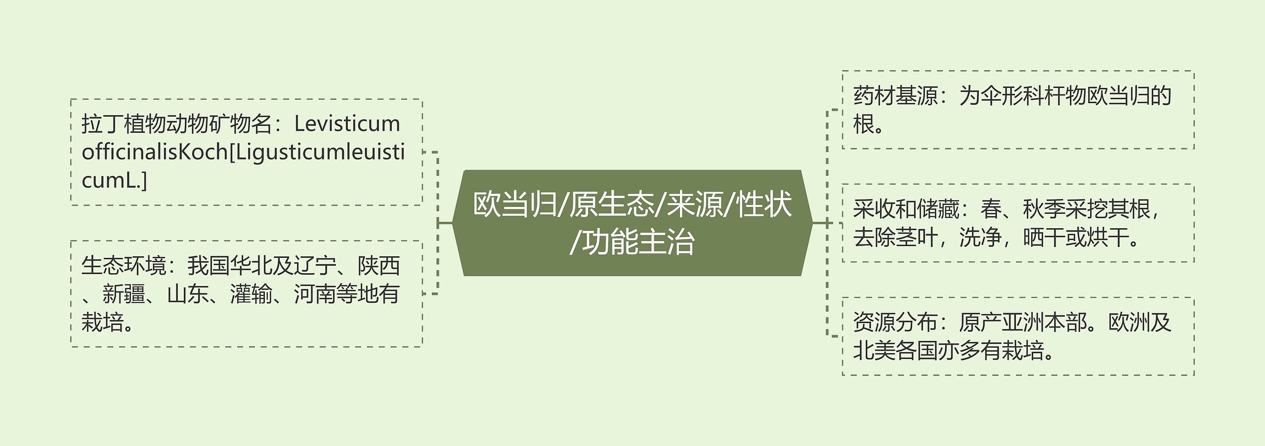 欧当归/原生态/来源/性状/功能主治 欧当归/原生态/来源/性状/功能主治