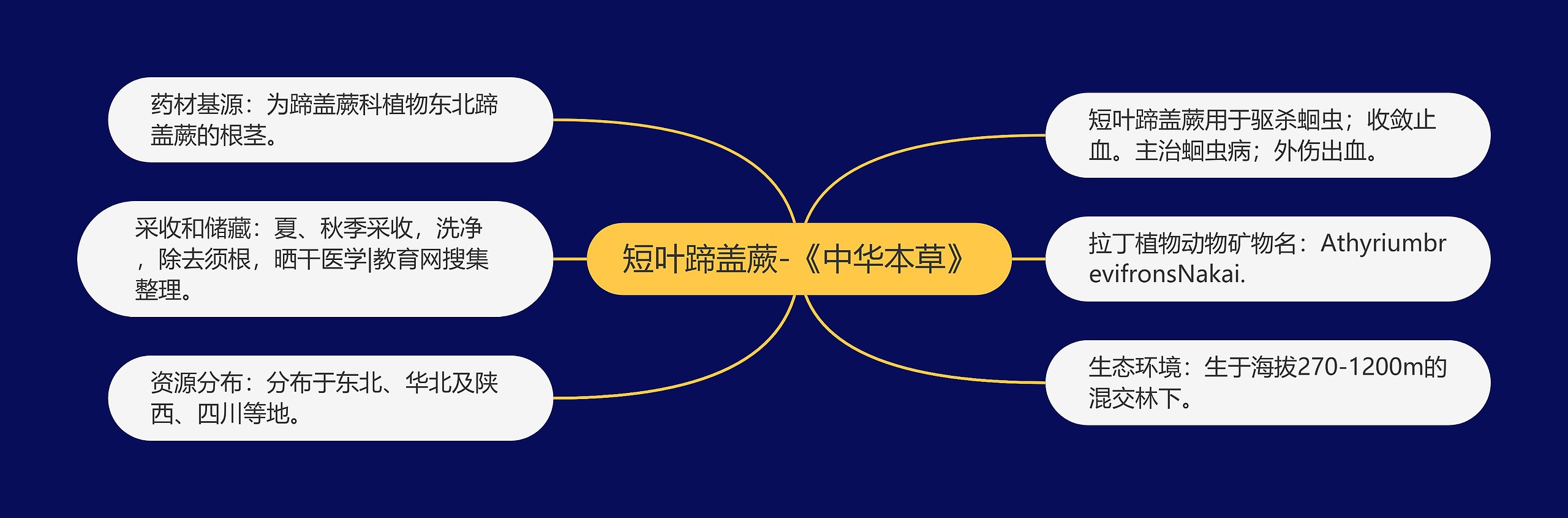 短叶蹄盖蕨-《中华本草》 短叶蹄盖蕨-《中华本草》
