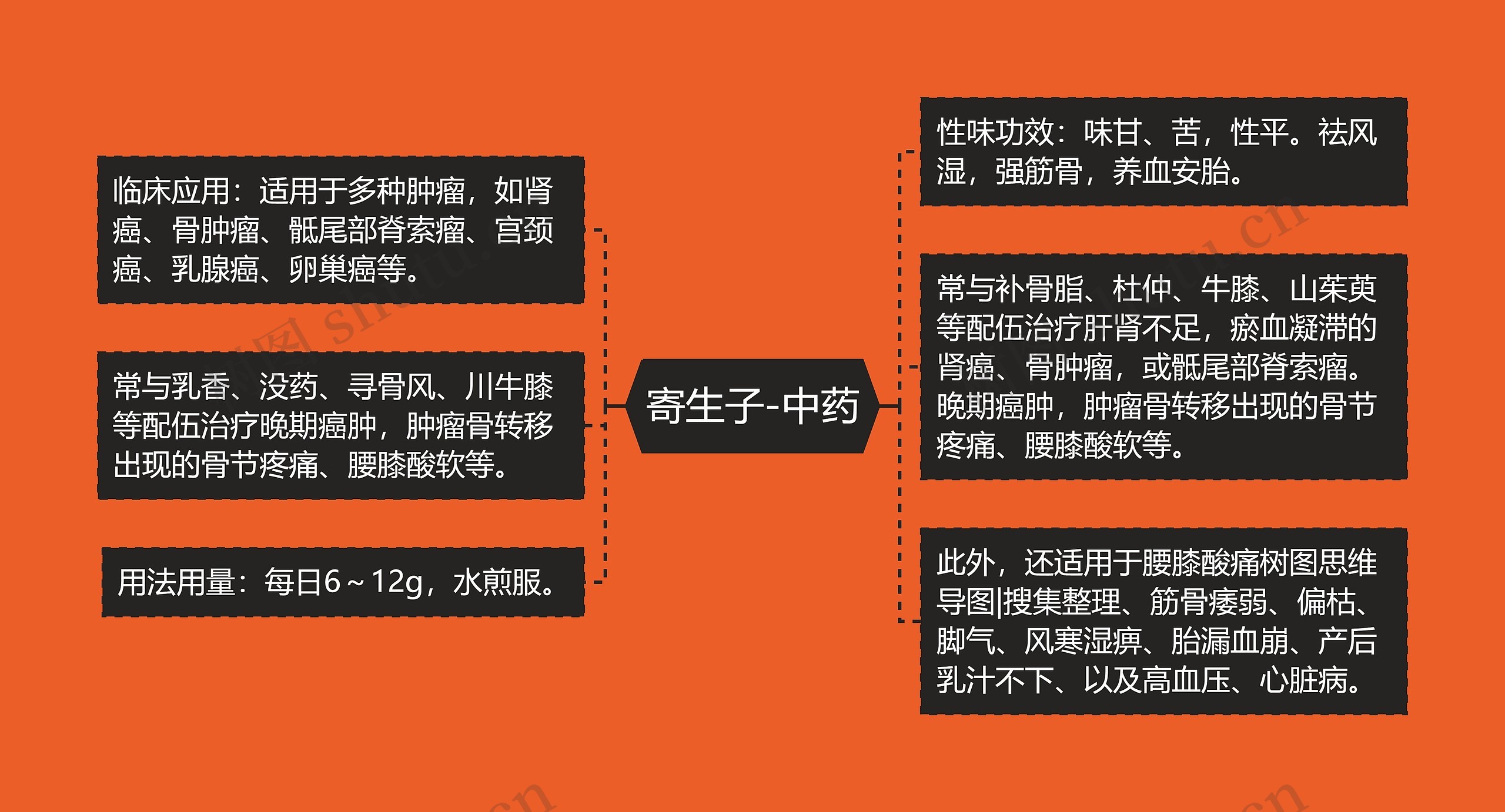 寄生子-中药 寄生子-中药