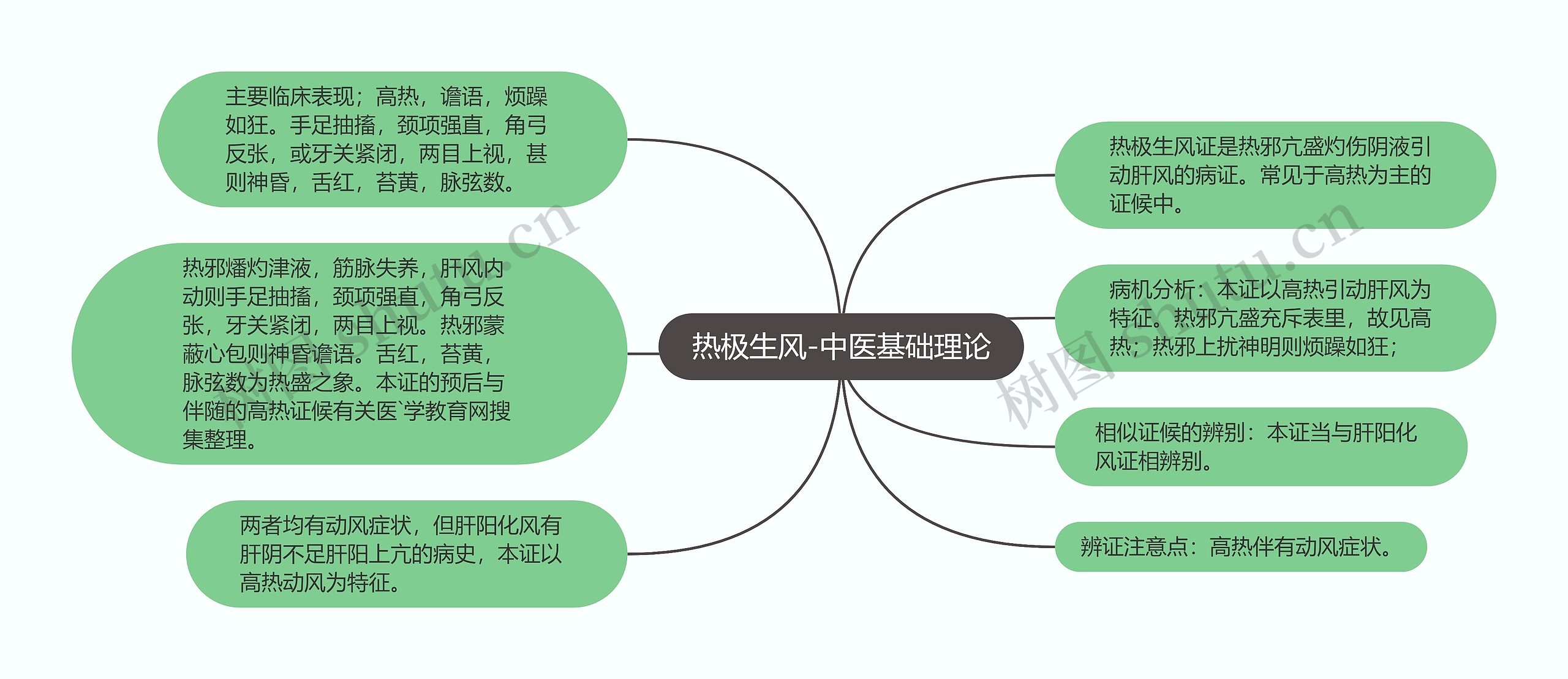 热极生风-中医基础理论思维导图