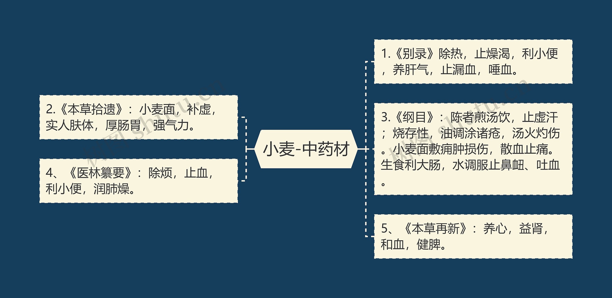 小麦-中药材思维导图