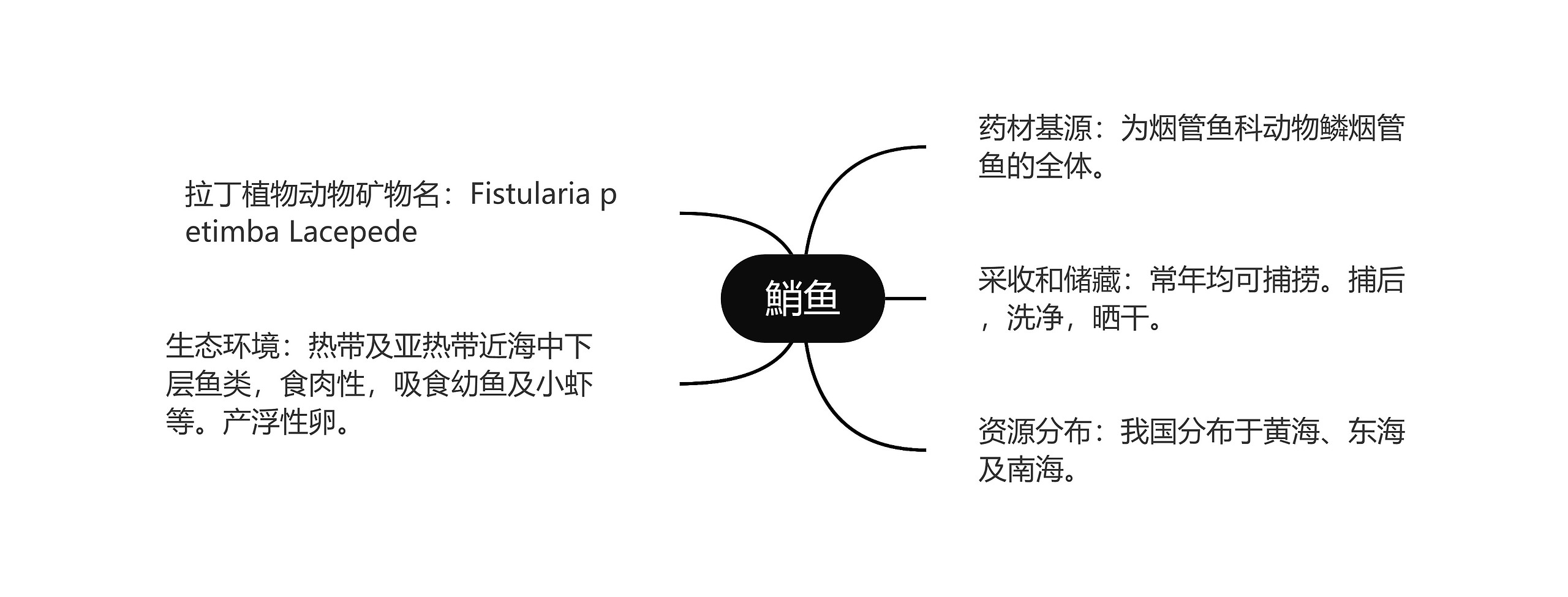 鮹鱼思维导图