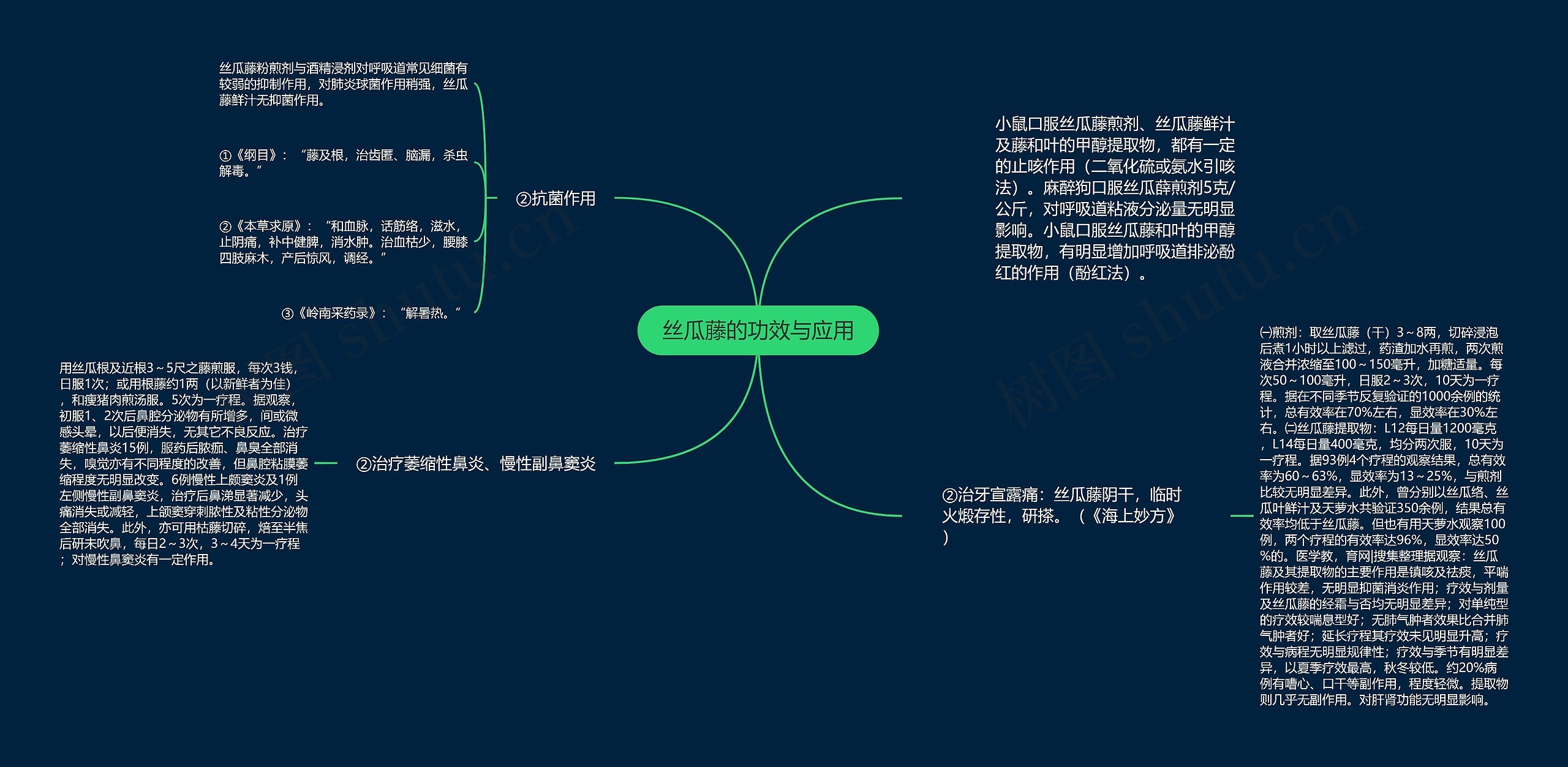 丝瓜藤的功效与应用思维导图