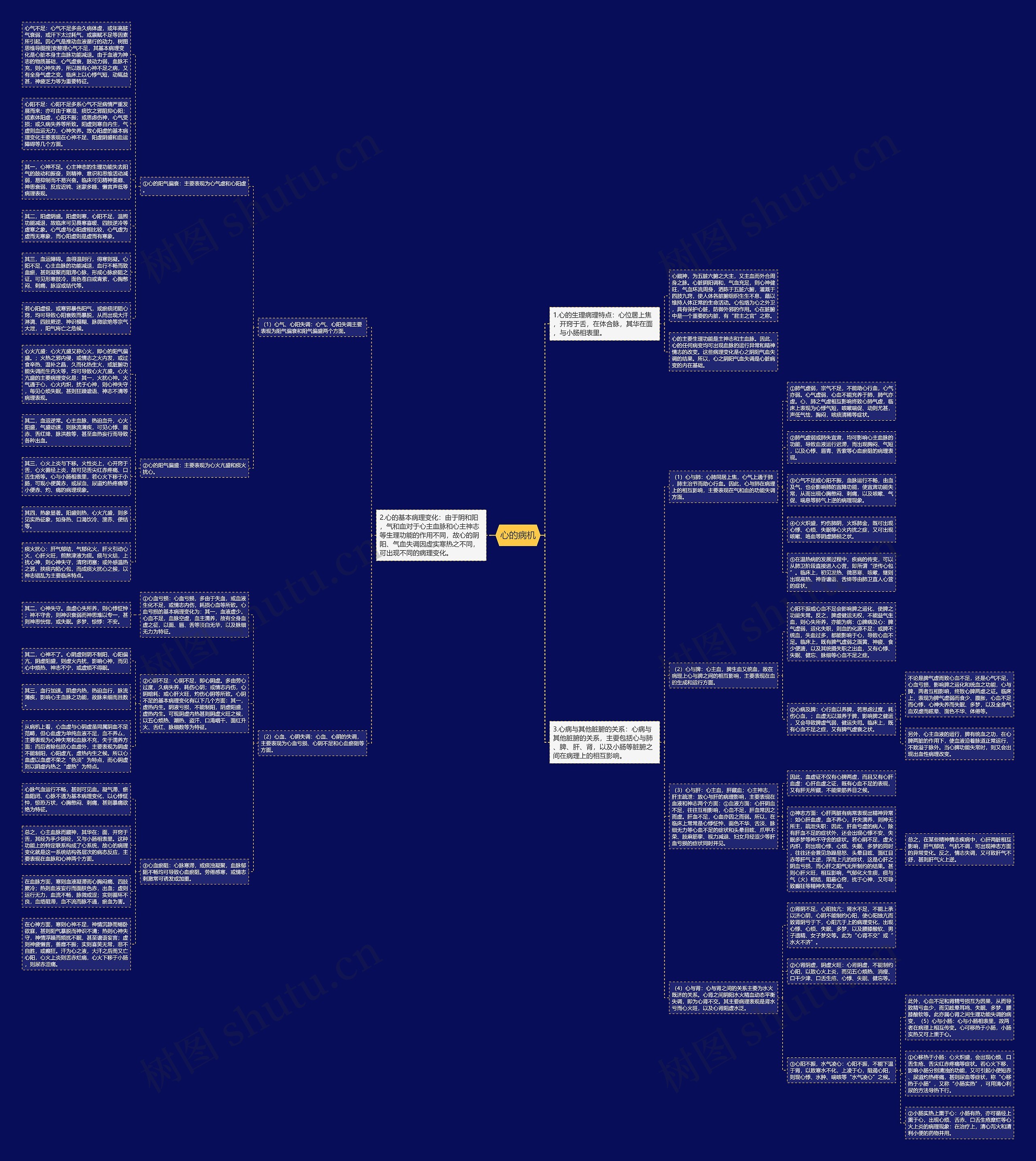 心的病机思维导图