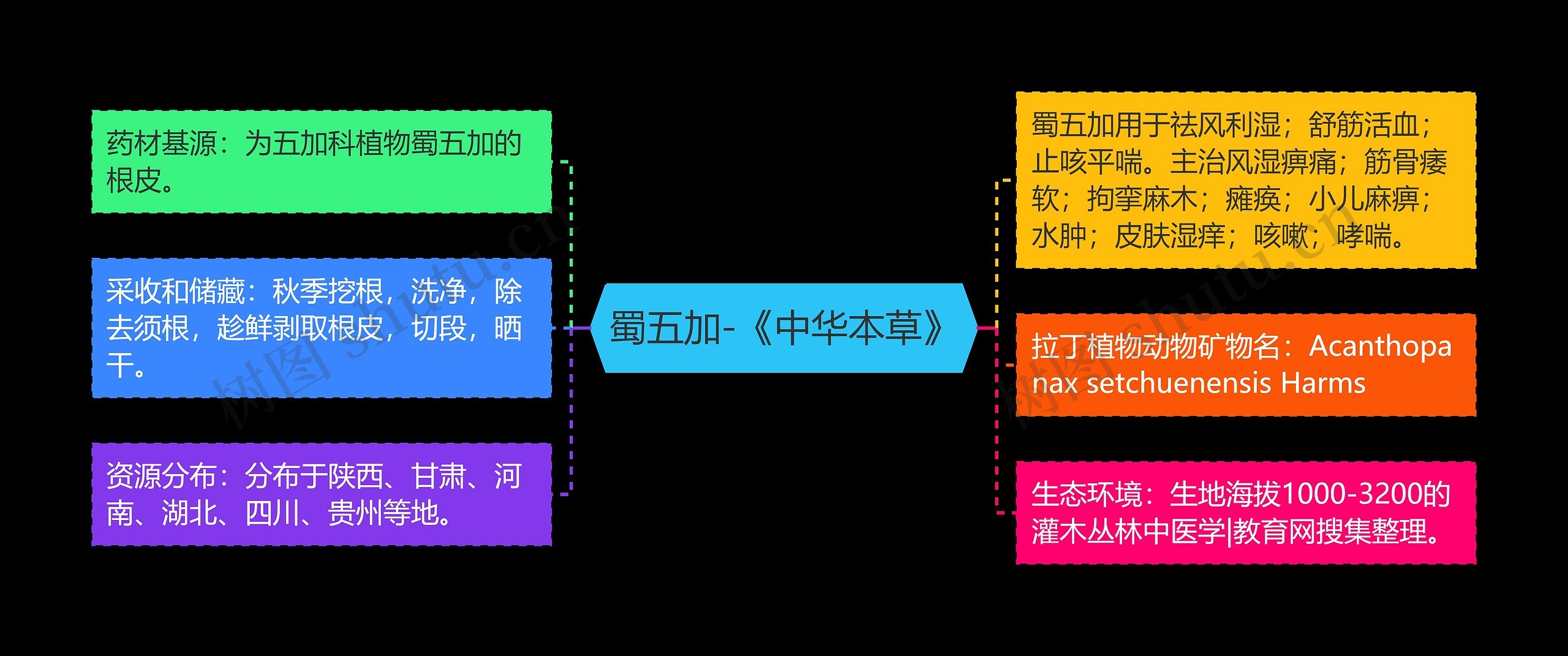 蜀五加-《中华本草》思维导图