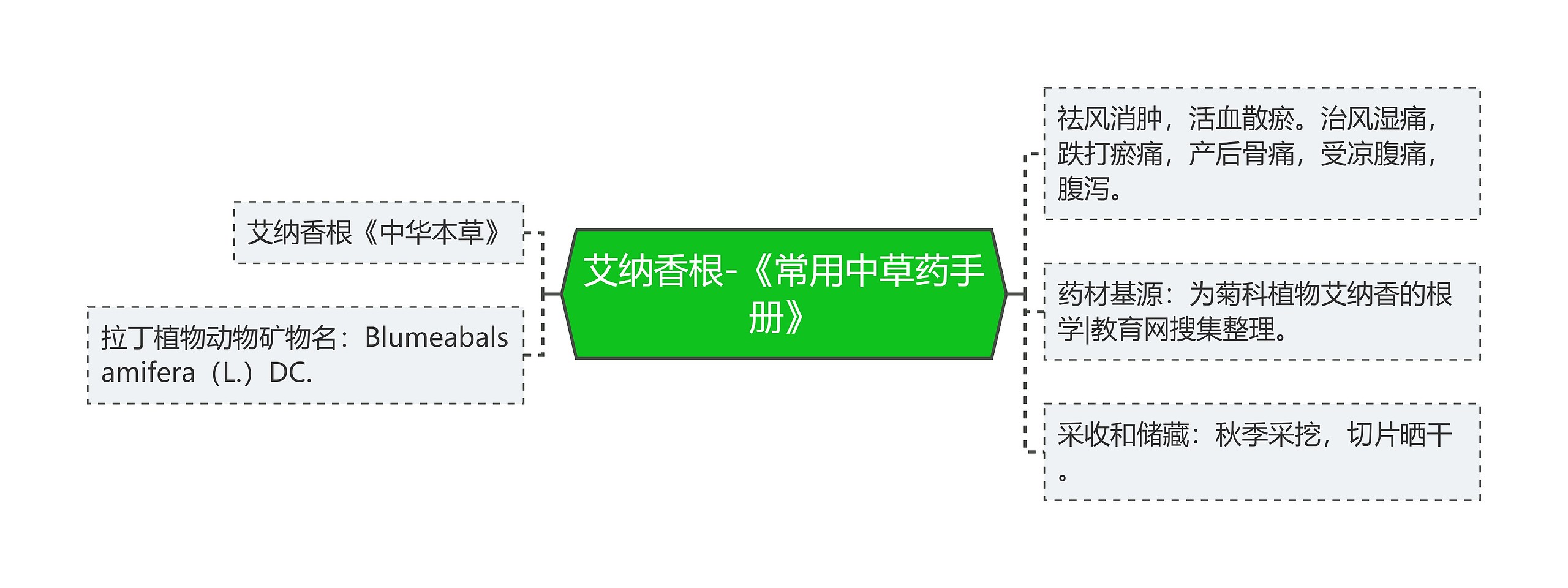 艾纳香根-《常用中草药手册》思维导图