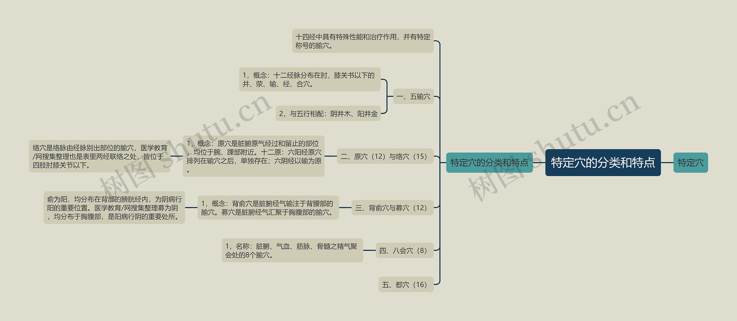 特定穴的分类和特点思维导图