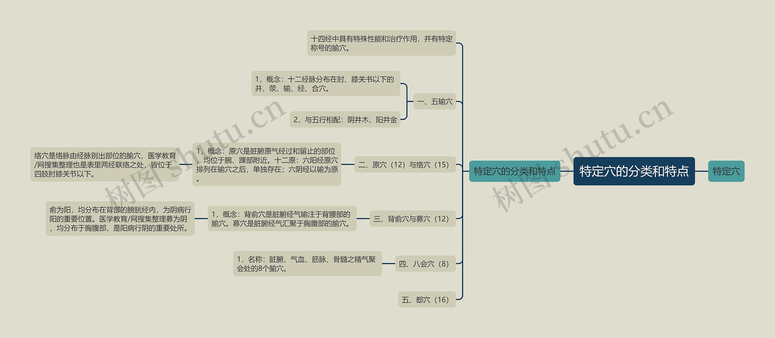 特定穴的分类和特点 特定穴的分类和特点