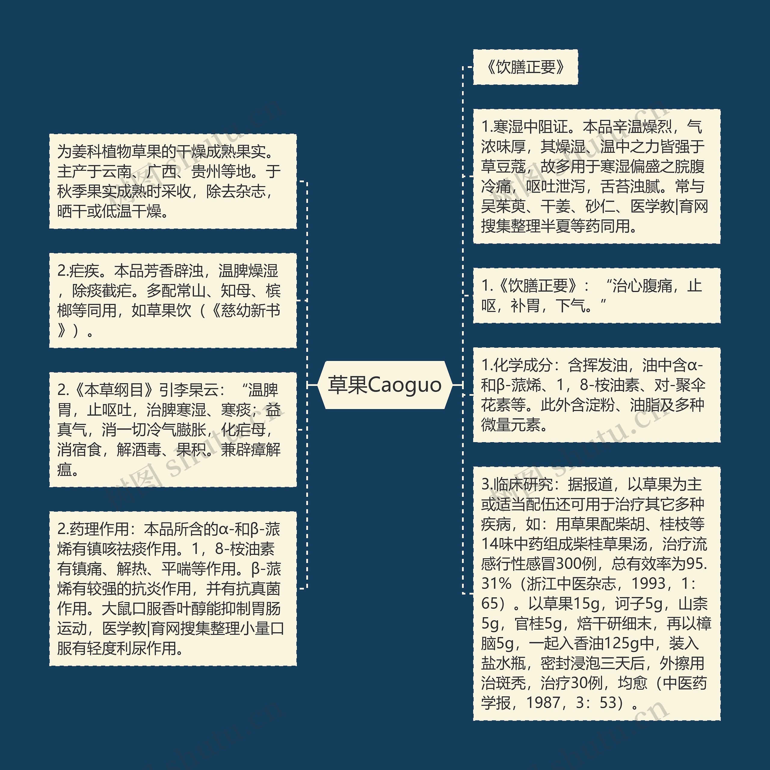 草果Caoguo思维导图