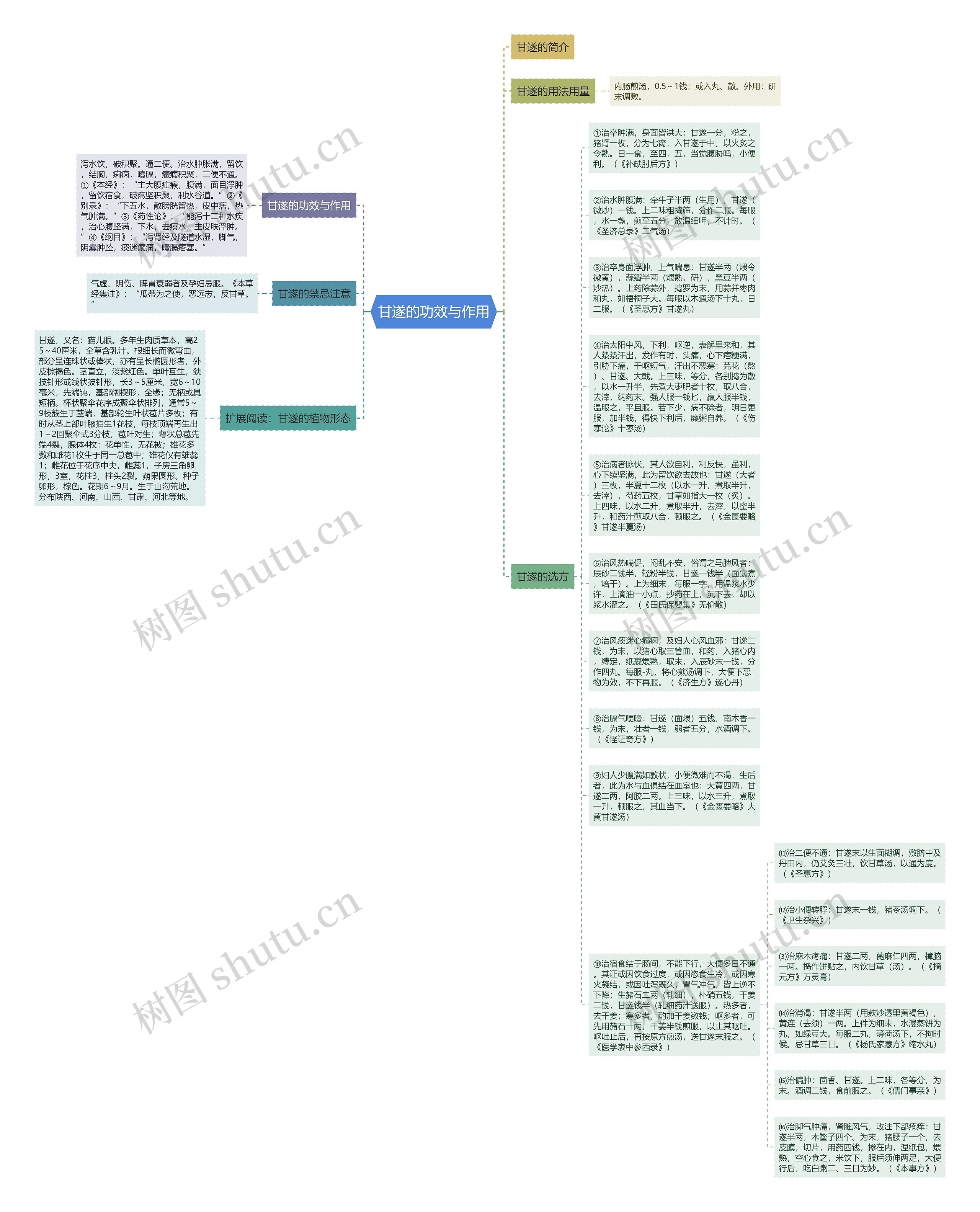 甘遂的功效与作用思维导图