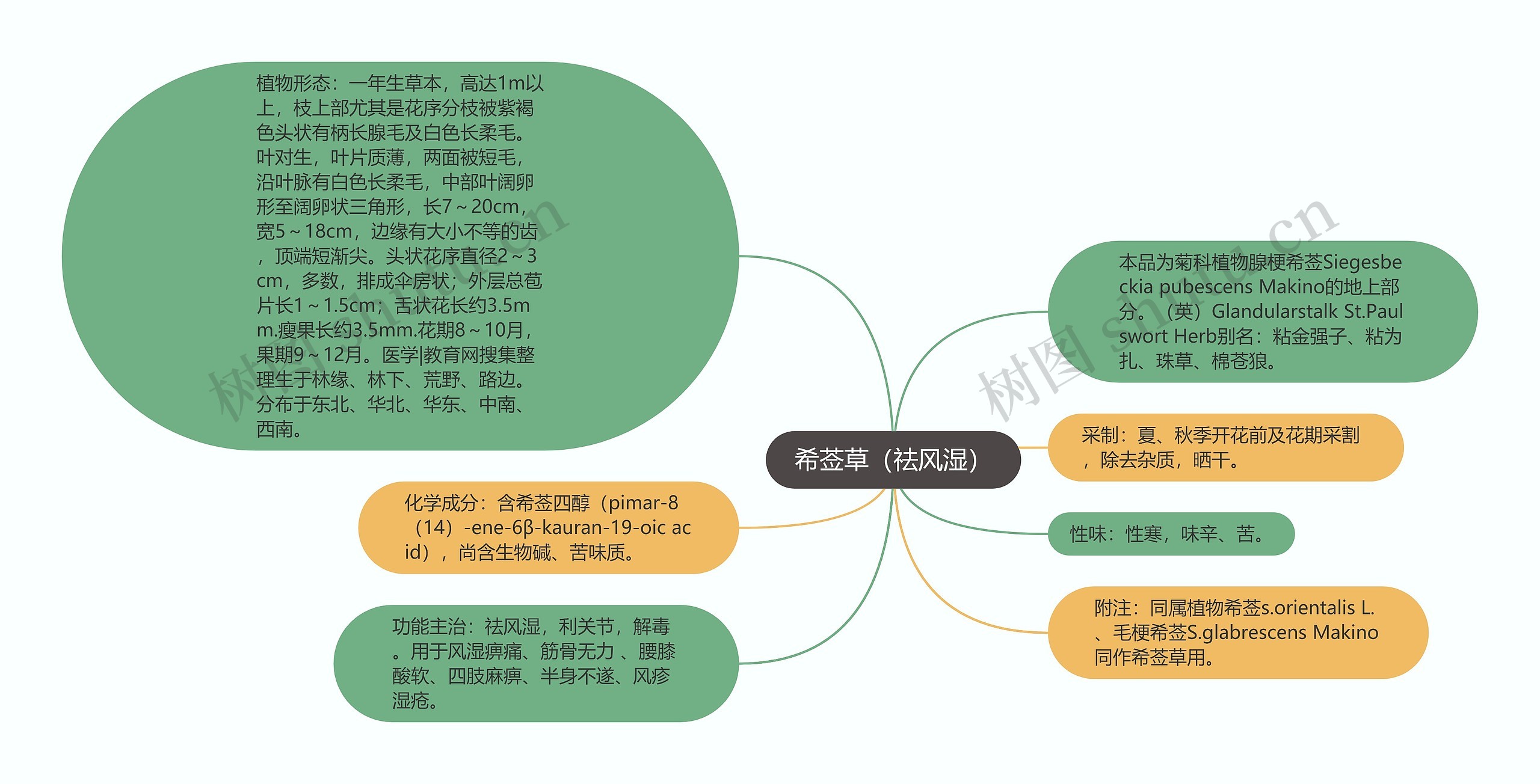 希莶草（祛风湿）思维导图