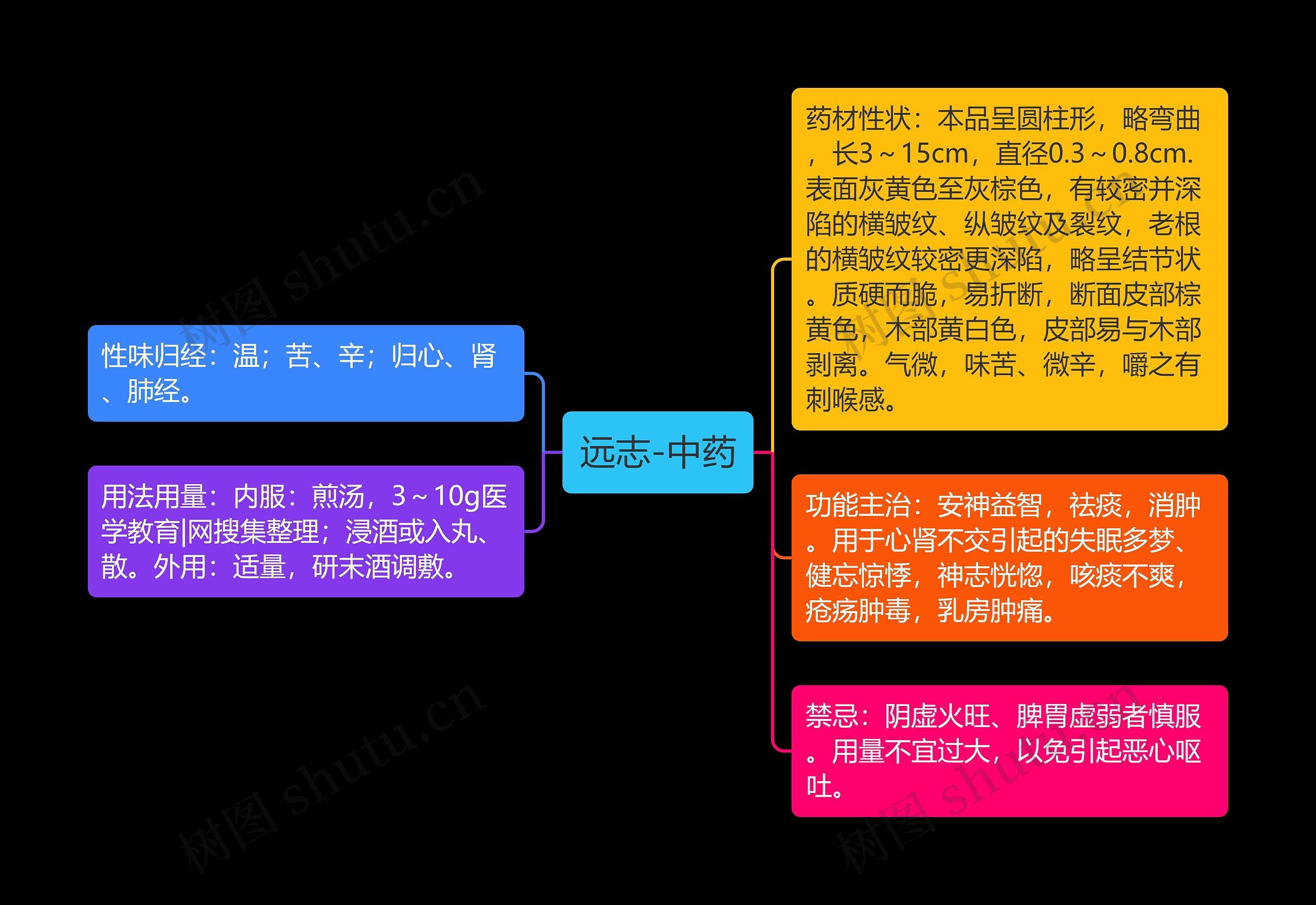 远志-中药思维导图