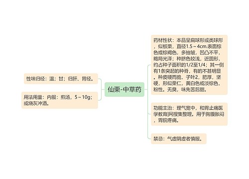 仙栗-中草药