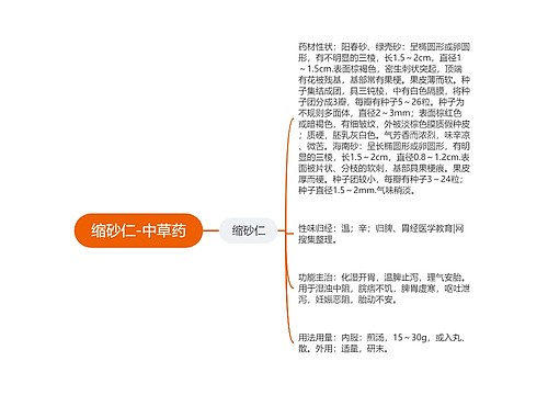 缩砂仁-中草药