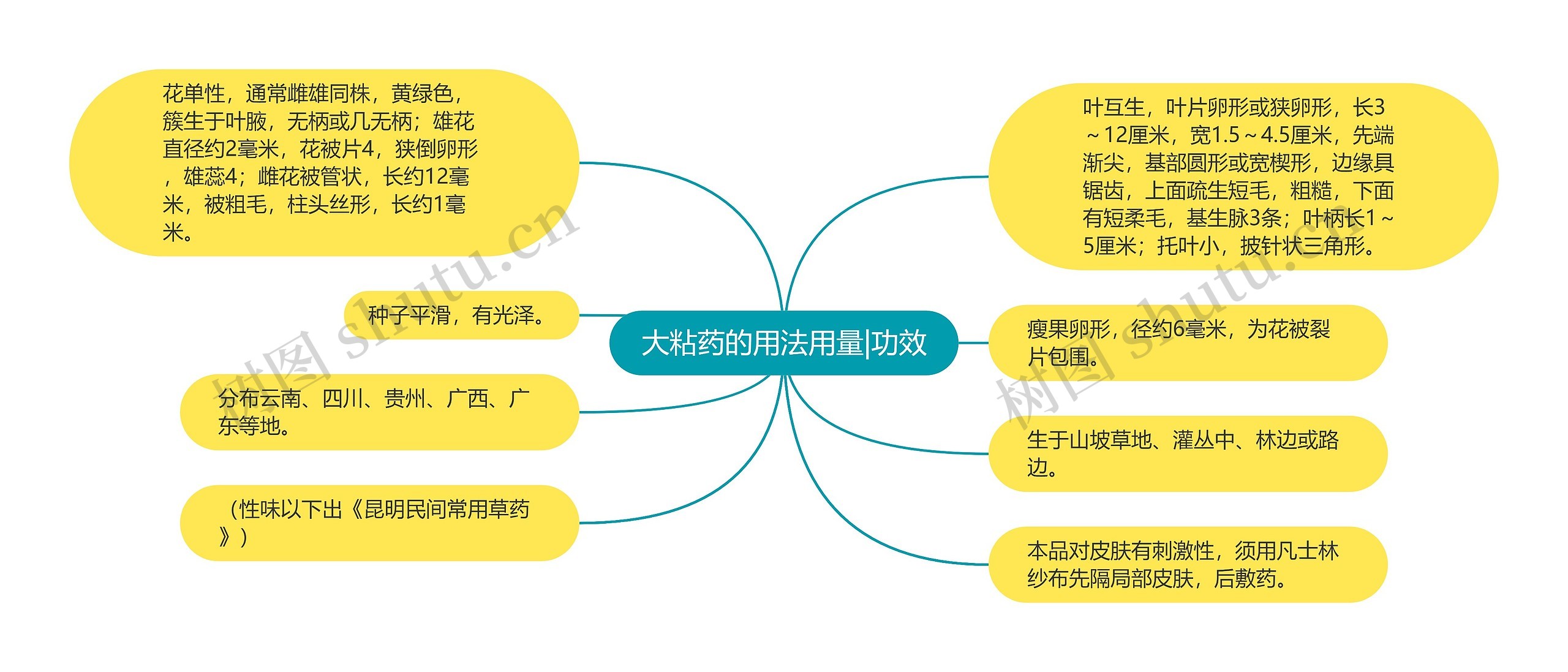 大粘药的用法用量|功效思维导图