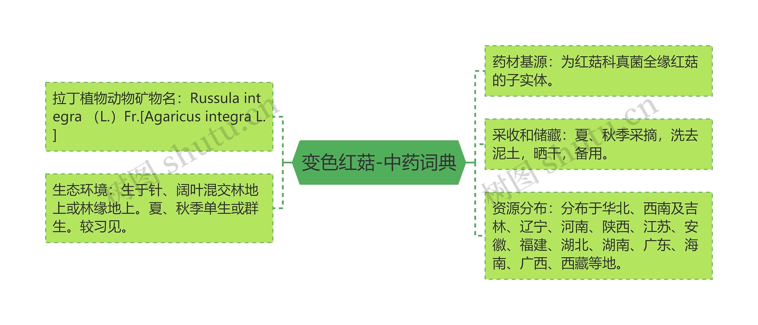 变色红菇-中药词典思维导图