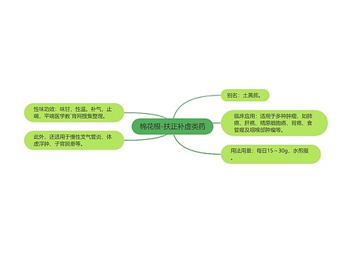 棉花根-扶正补虚类药