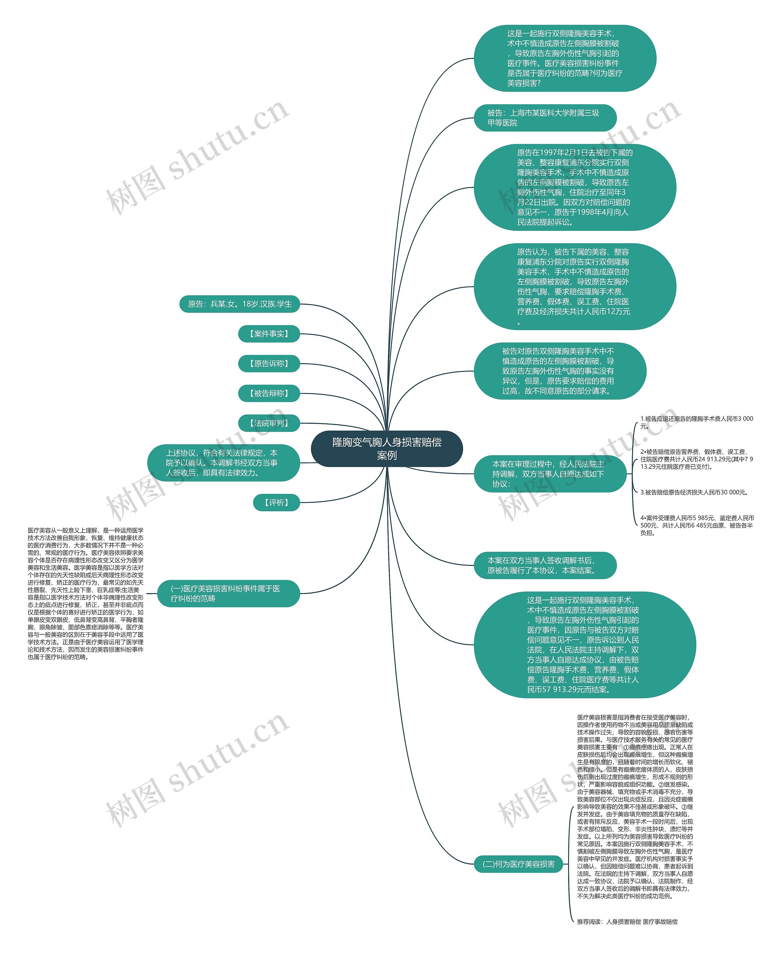 隆胸变气胸人身损害赔偿案例思维导图