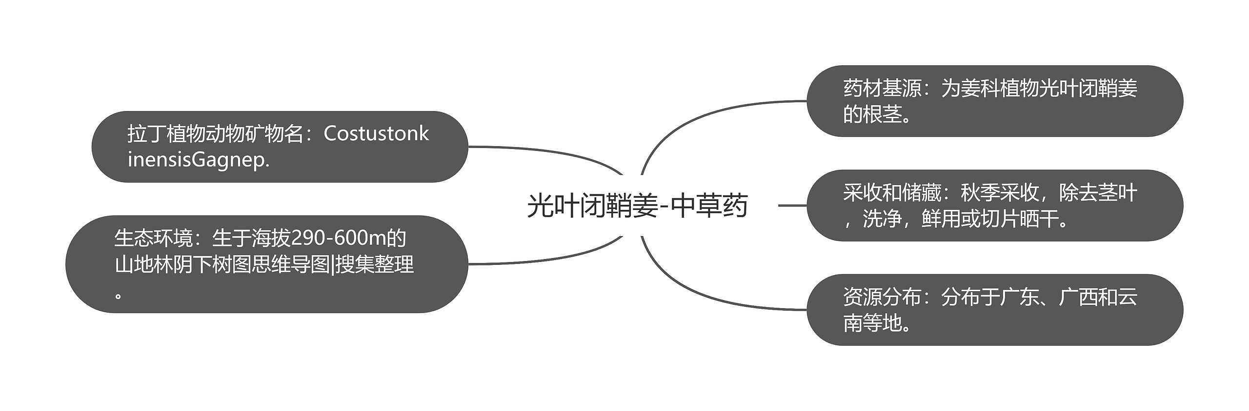 光叶闭鞘姜-中草药思维导图