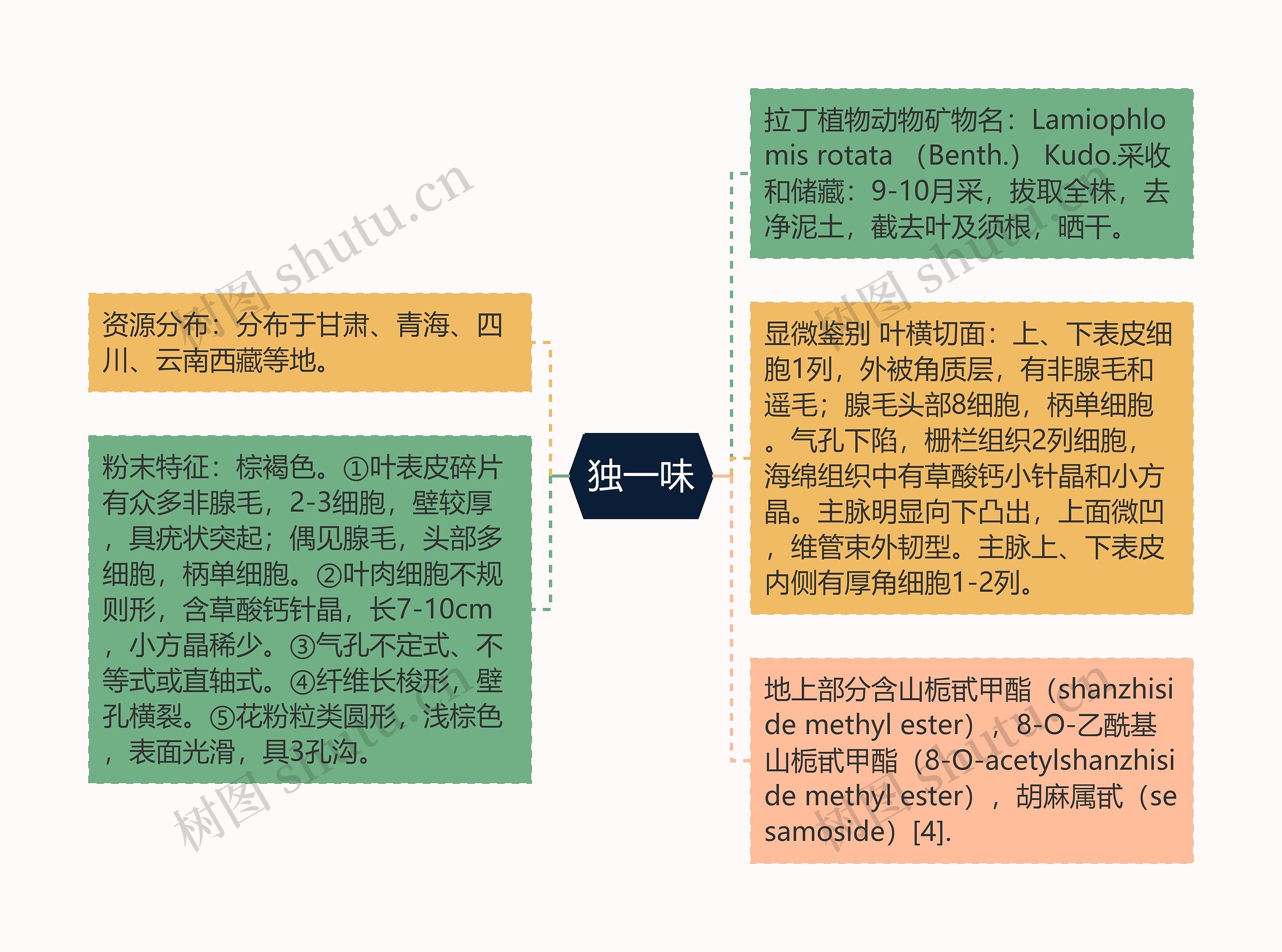 独一味思维导图