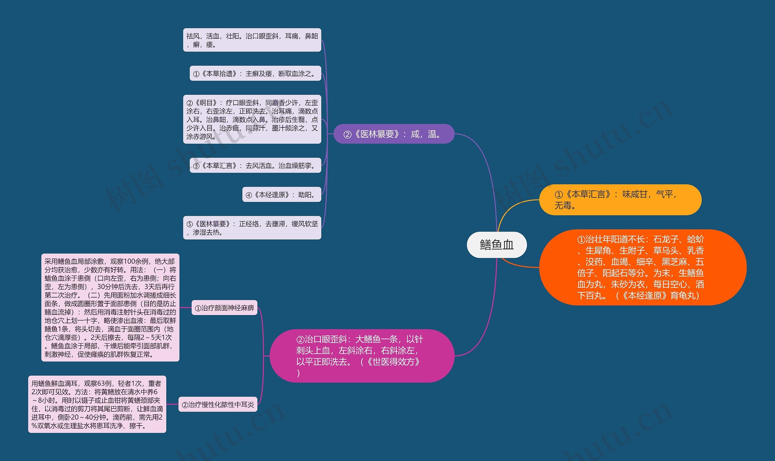 鳝鱼血思维导图