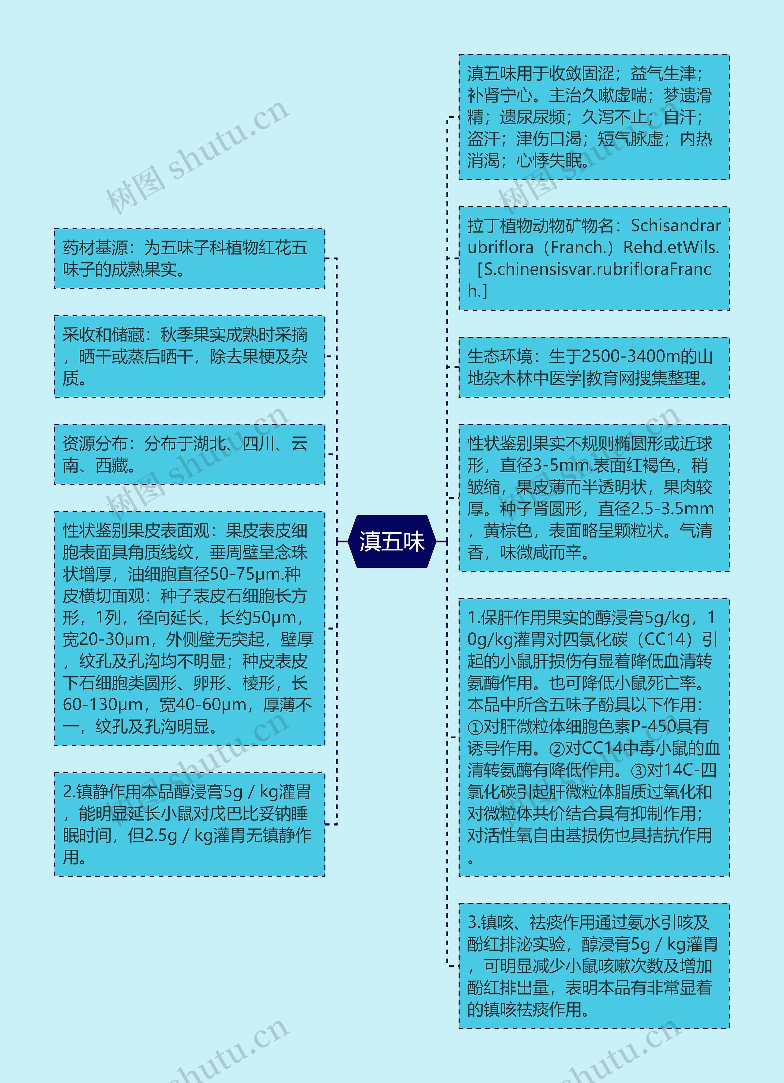 滇五味