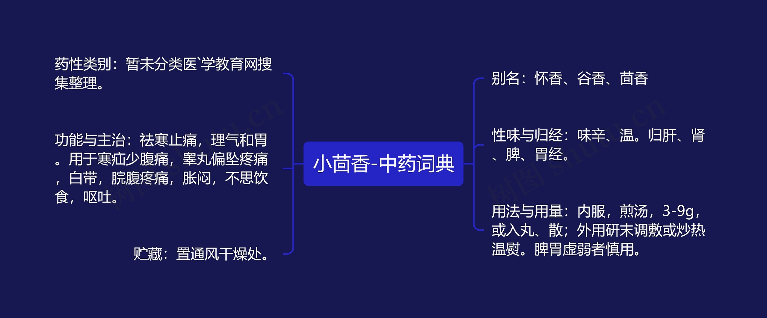 小茴香-中药词典思维导图