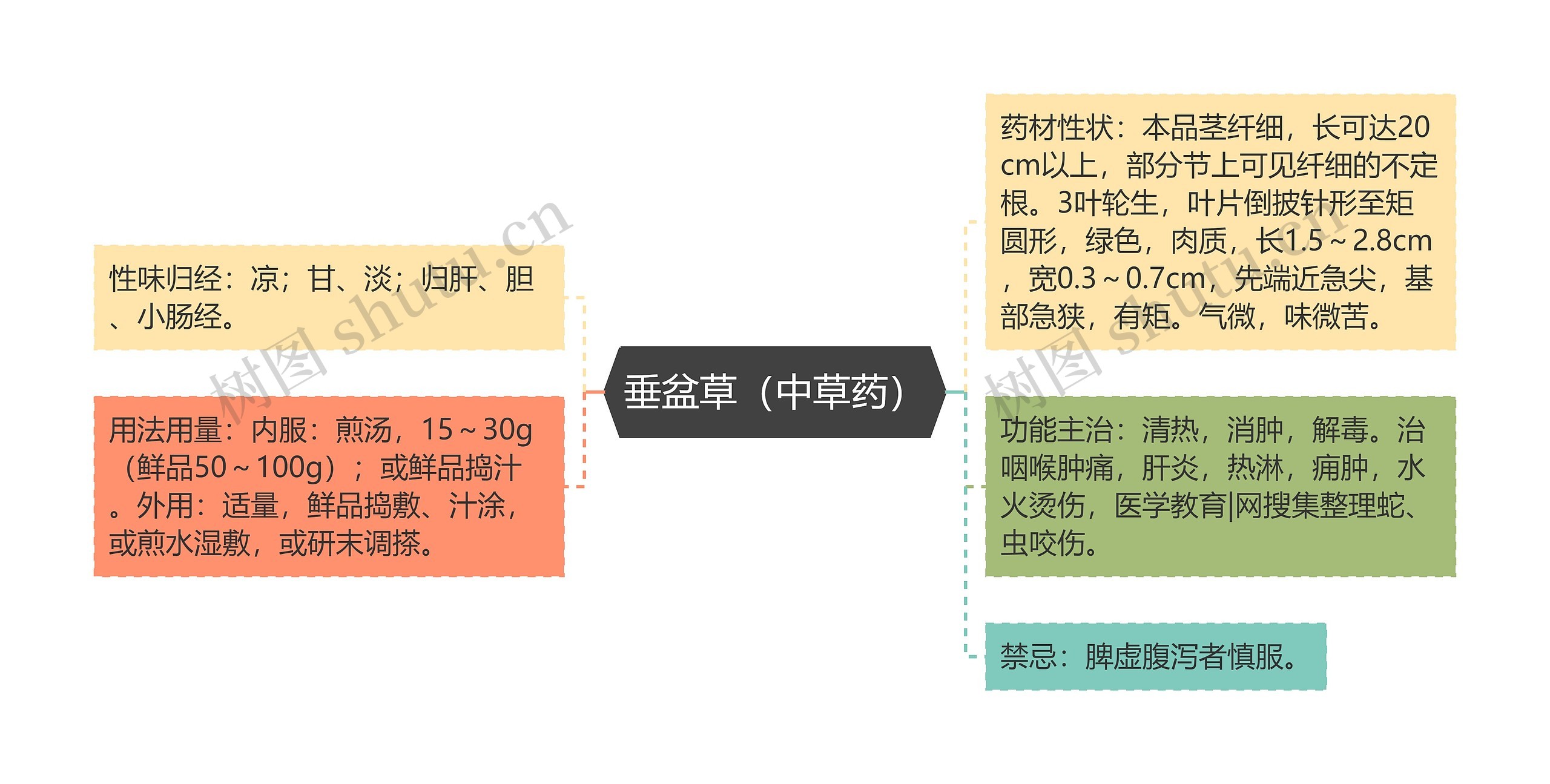 垂盆草（中草药）思维导图