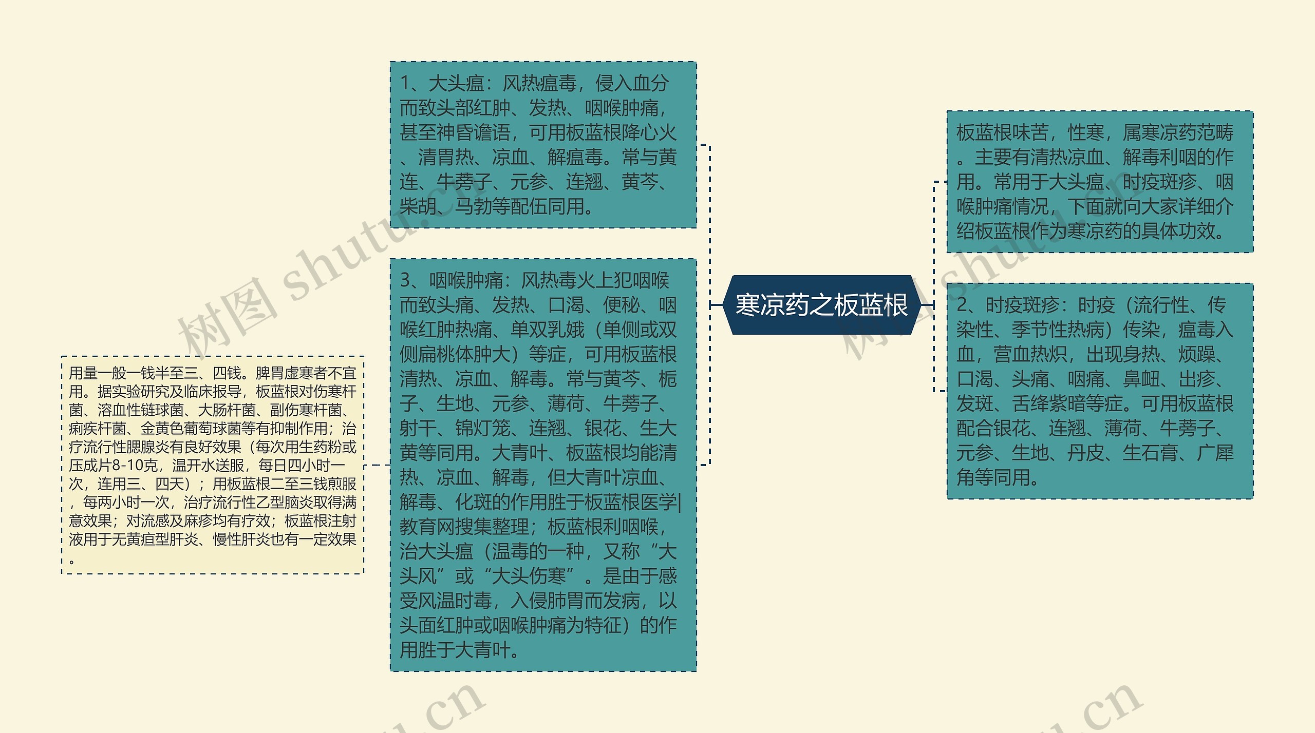 寒凉药之板蓝根思维导图